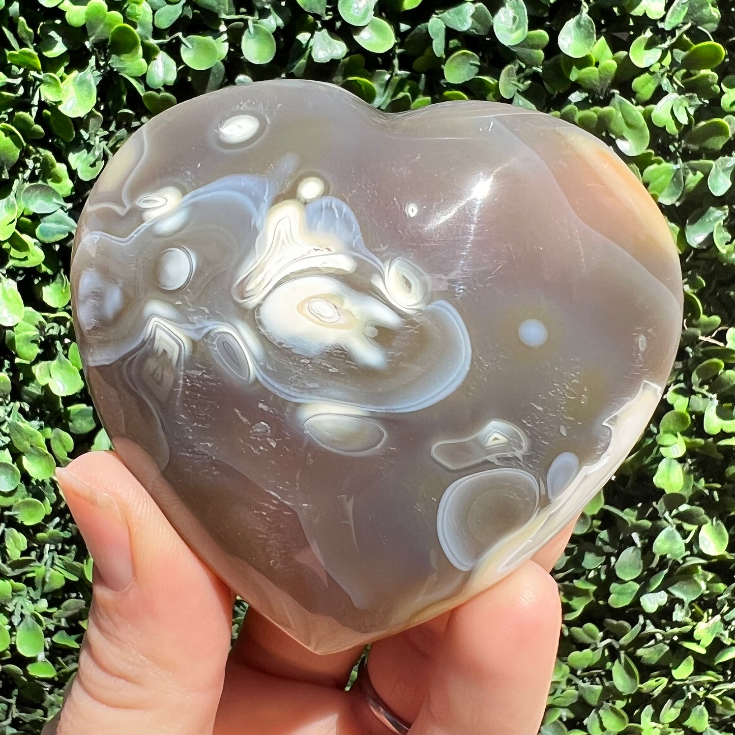 Orca Agate Heart