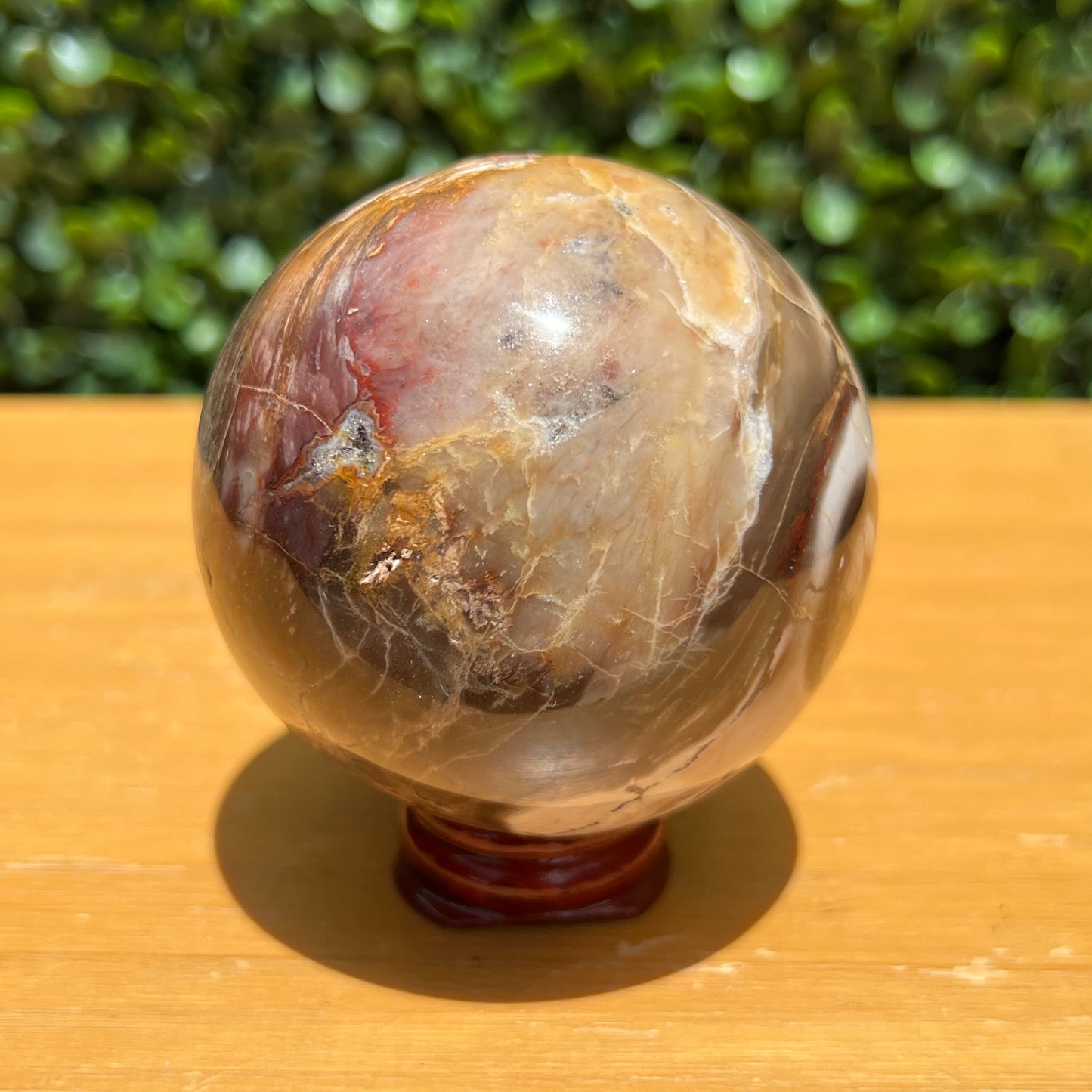 Petrified Wood Sphere