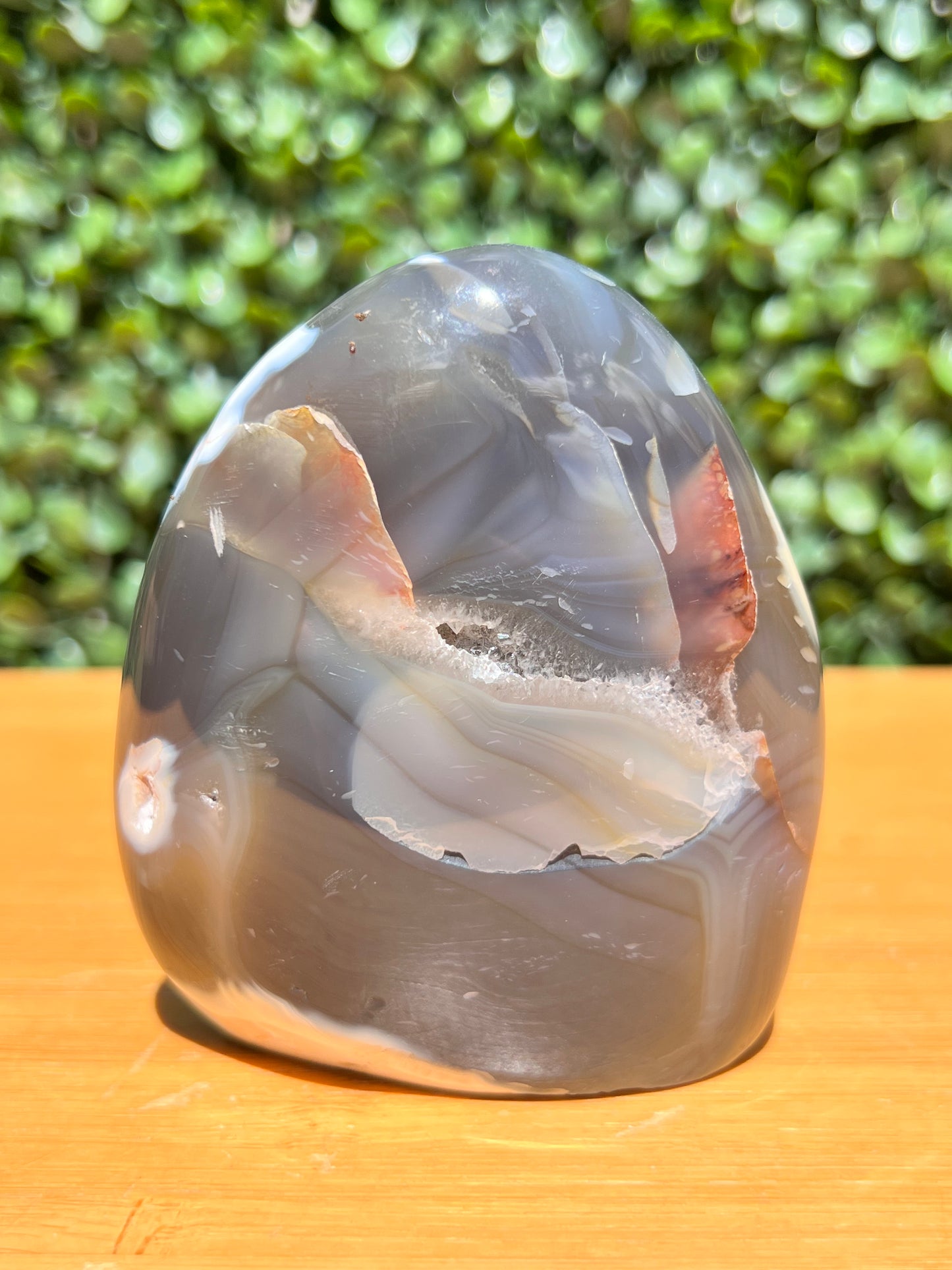 Orca Agate Free Form