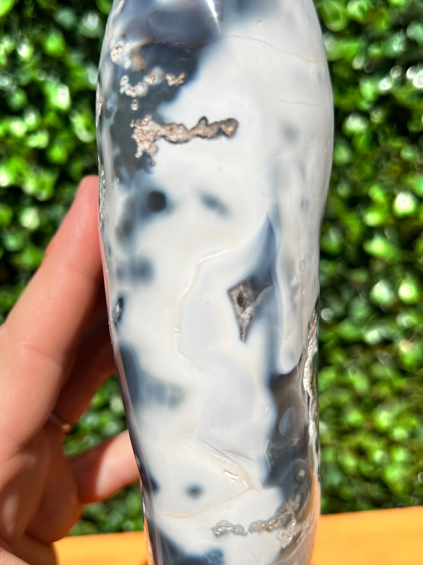 Orca Agate Free Form