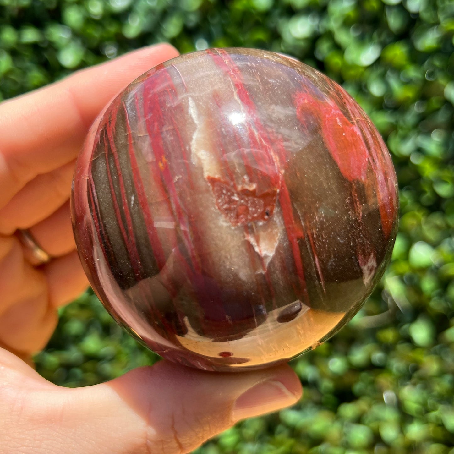 Petrified Wood Sphere