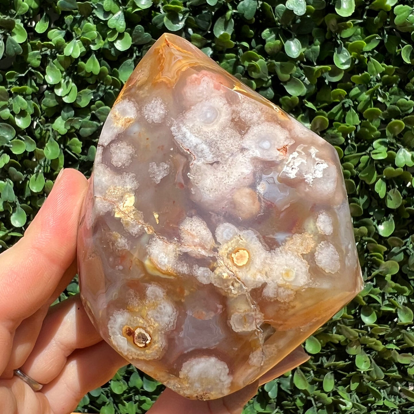 Flower Agate Flame