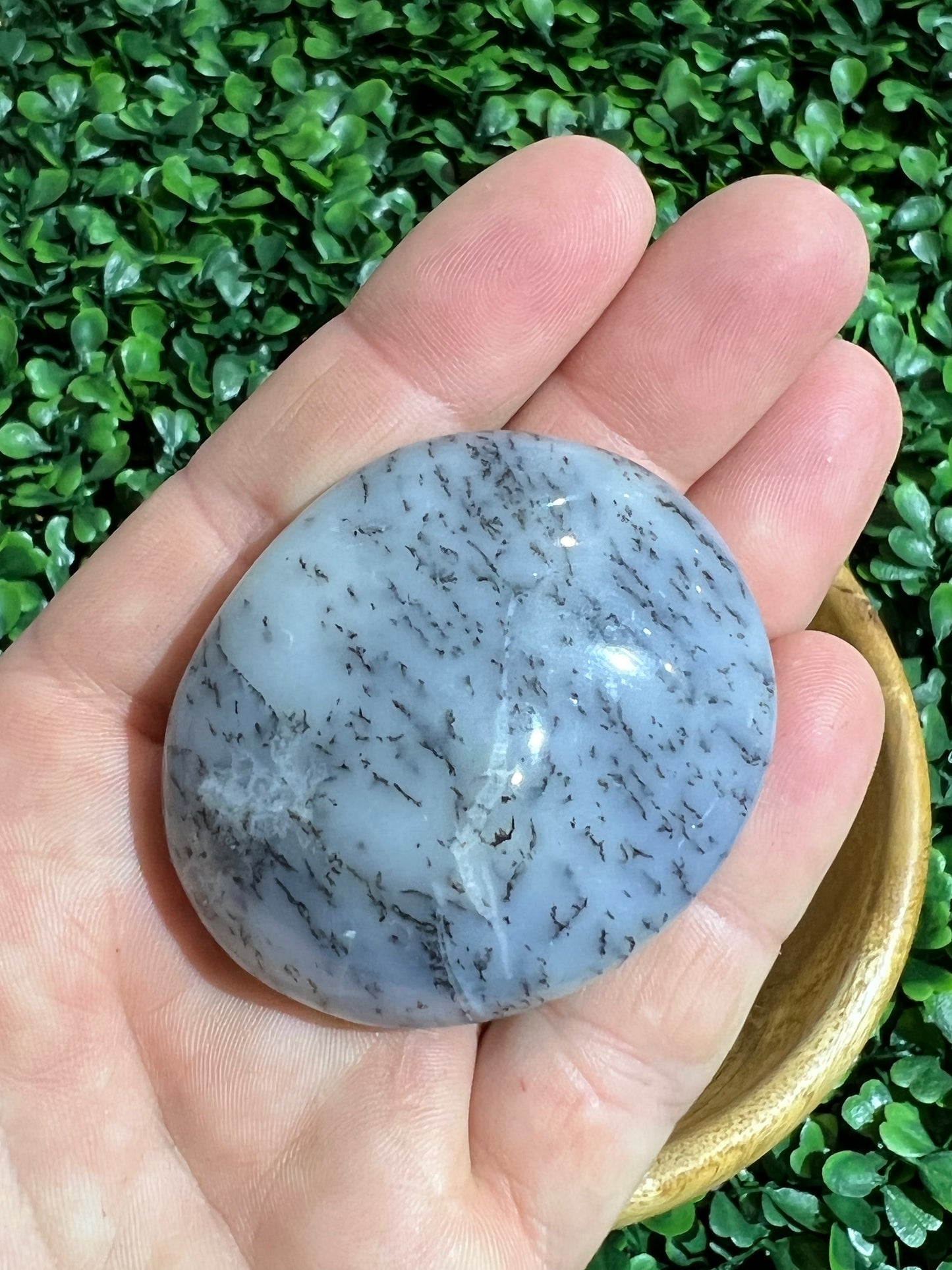 Dendritic Agate Gemstone Palm Stone’s