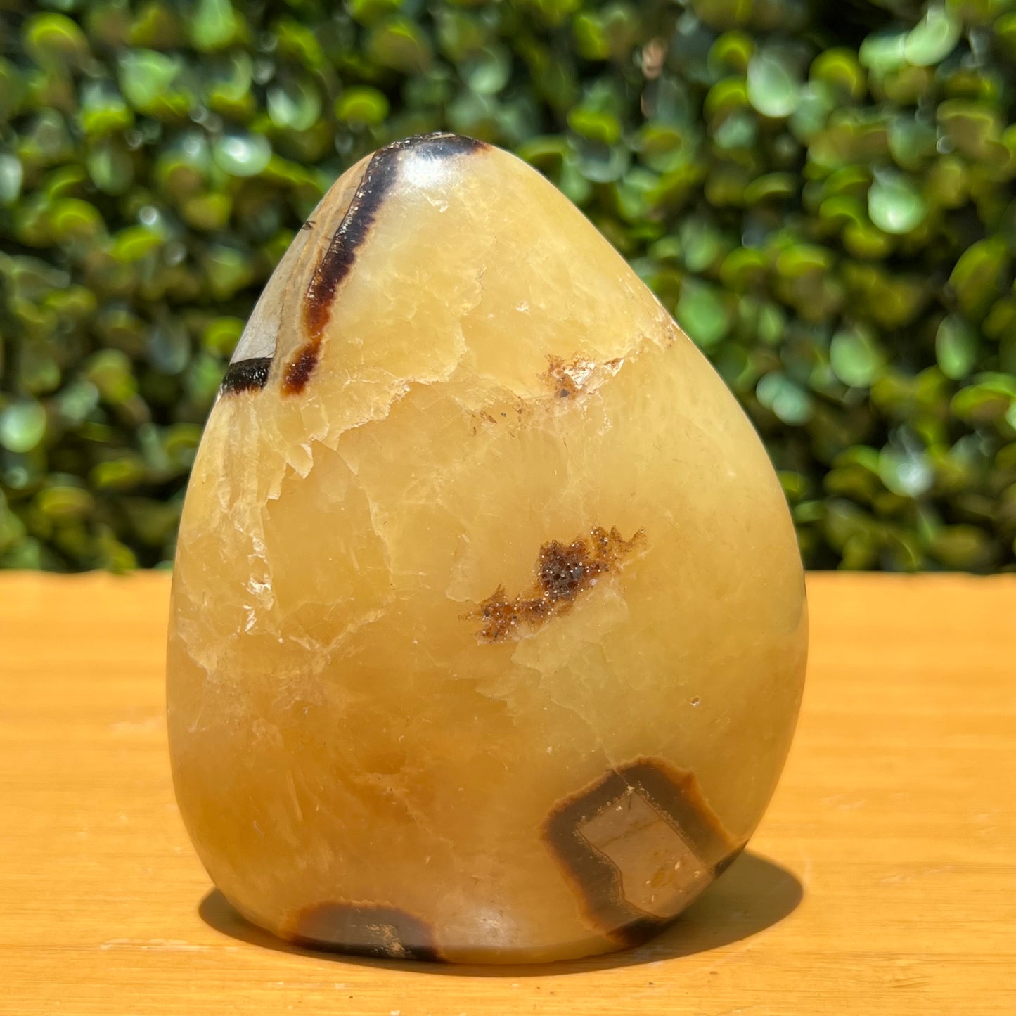 Septarian Yellow Calcite Free Form