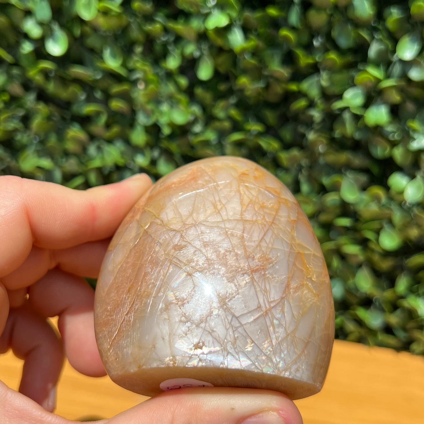 Peach Moonstone Free Form