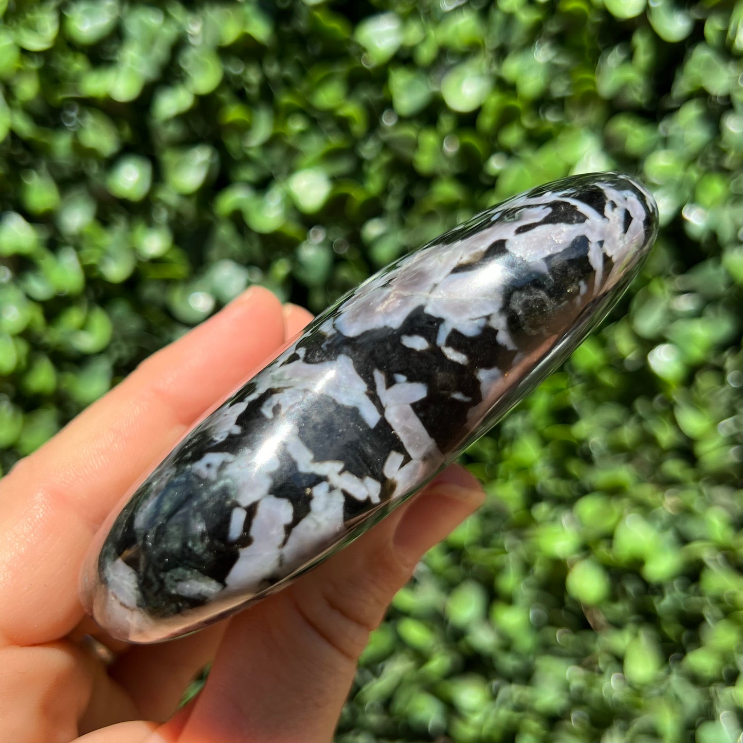 Mystic Merlinite Gabbro Heart
