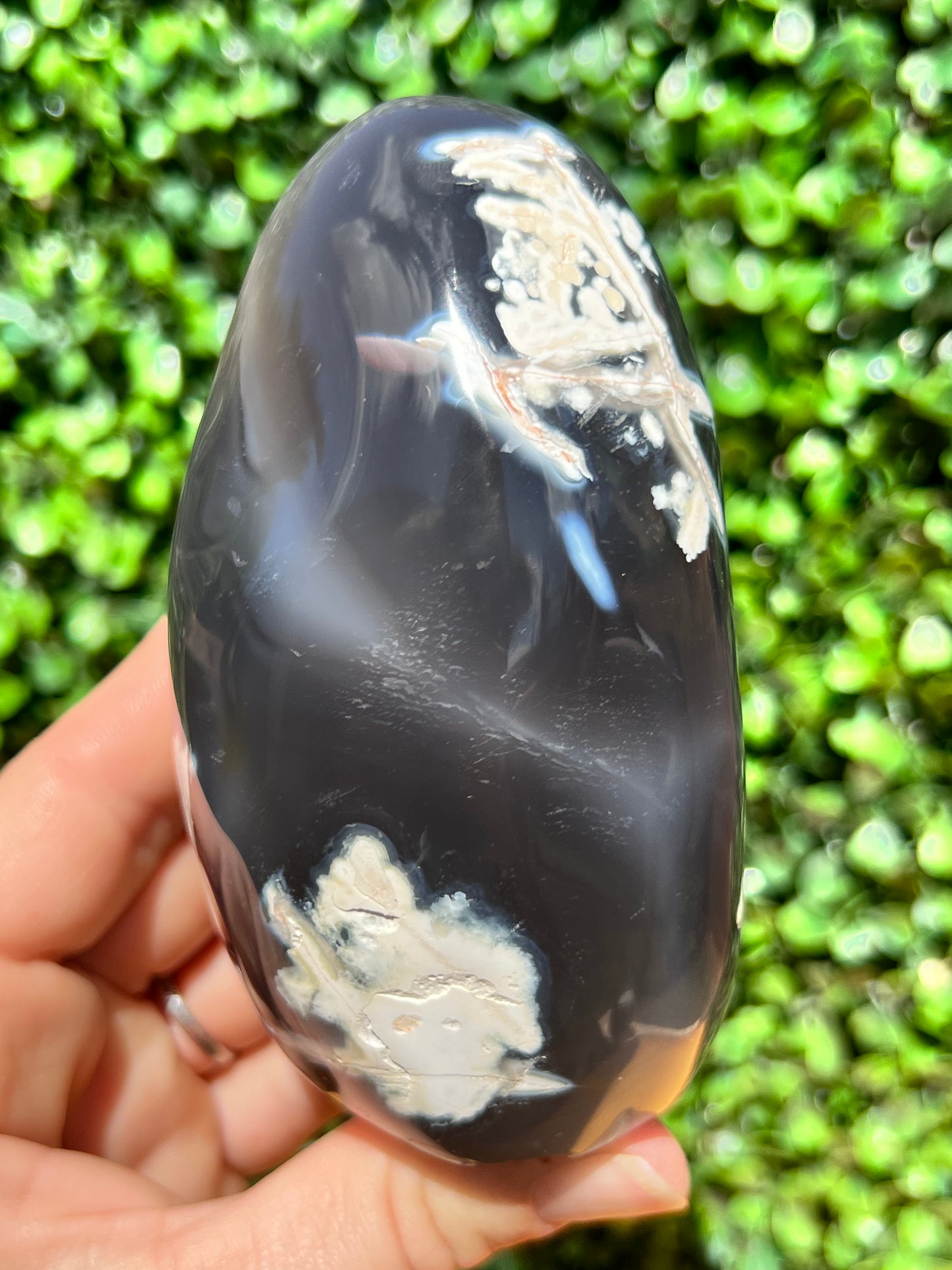 Orca Agate Free Form