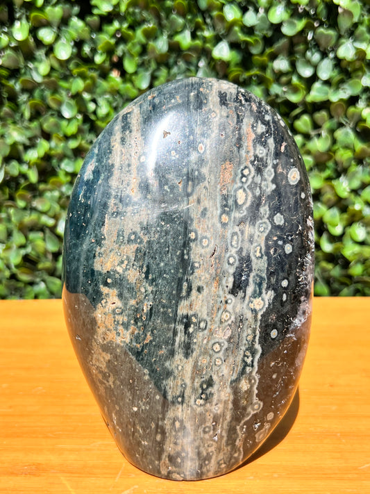 Ocean Jasper Free Form