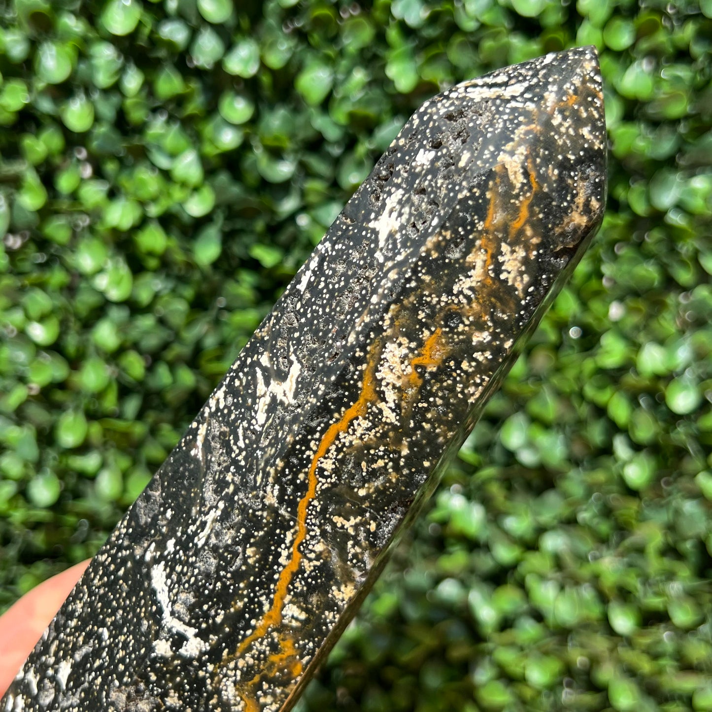 Ocean Jasper Tower