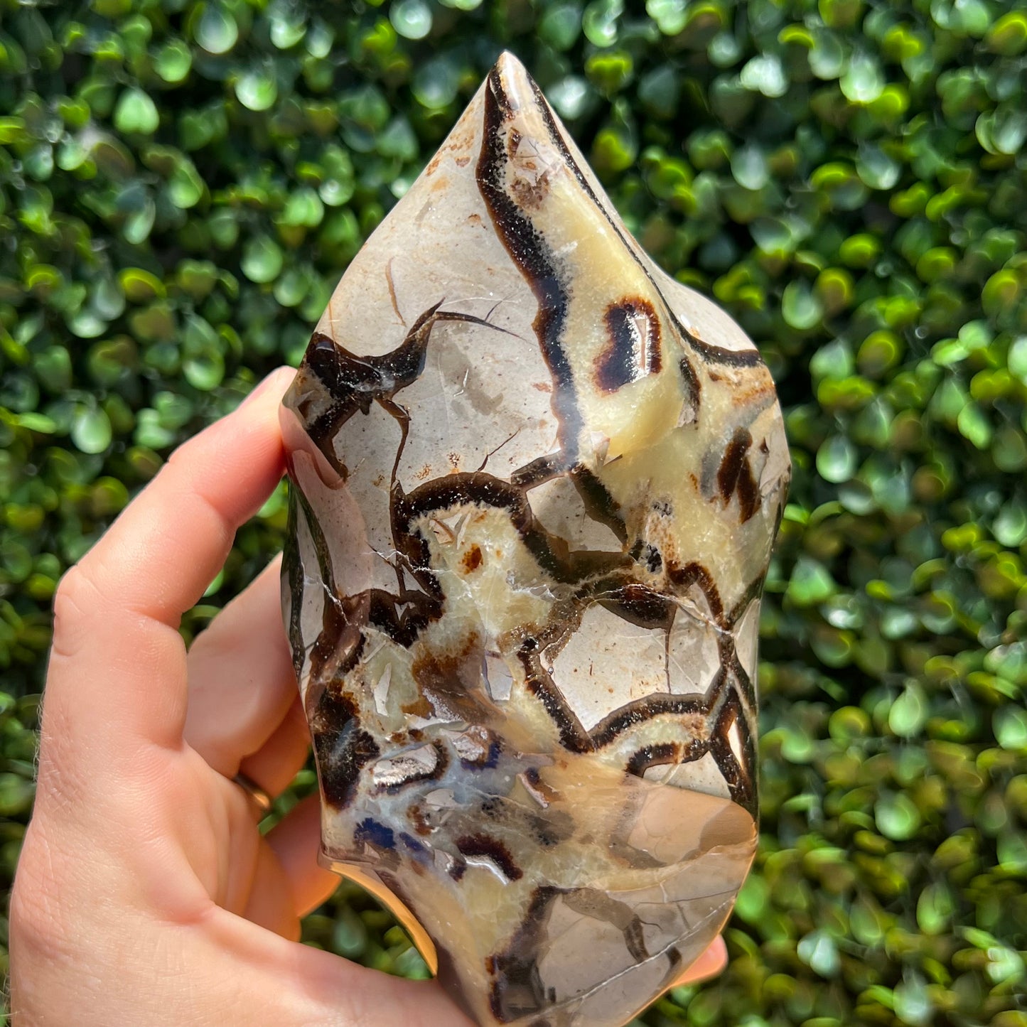 Septarian Yellow Calcite Flame