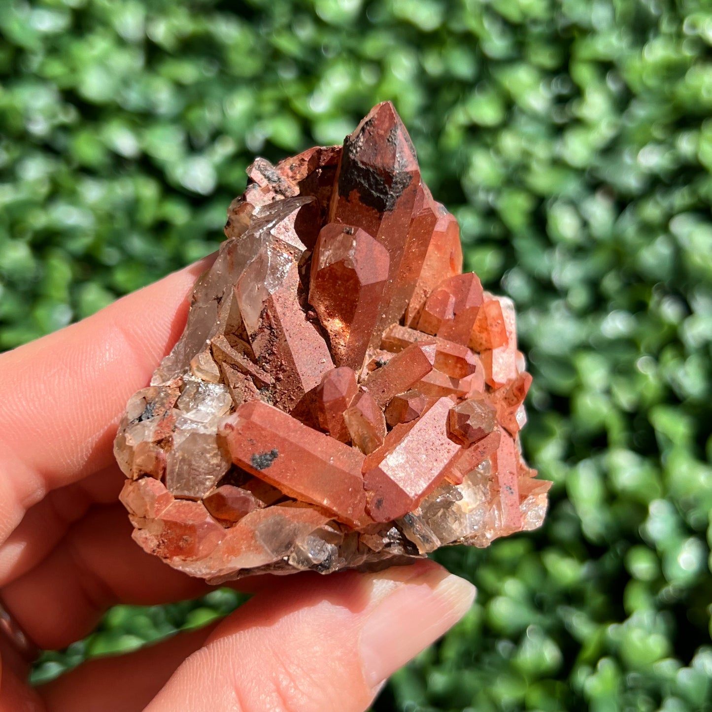 Red Quartz Cluster