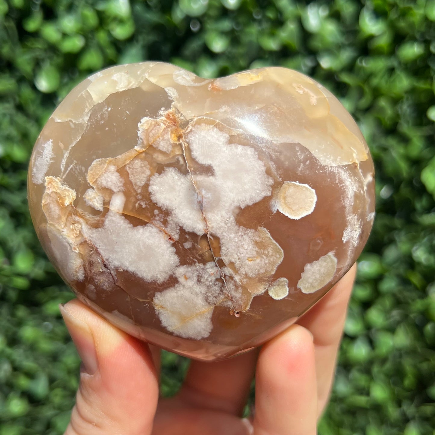 Flower Agate Heart