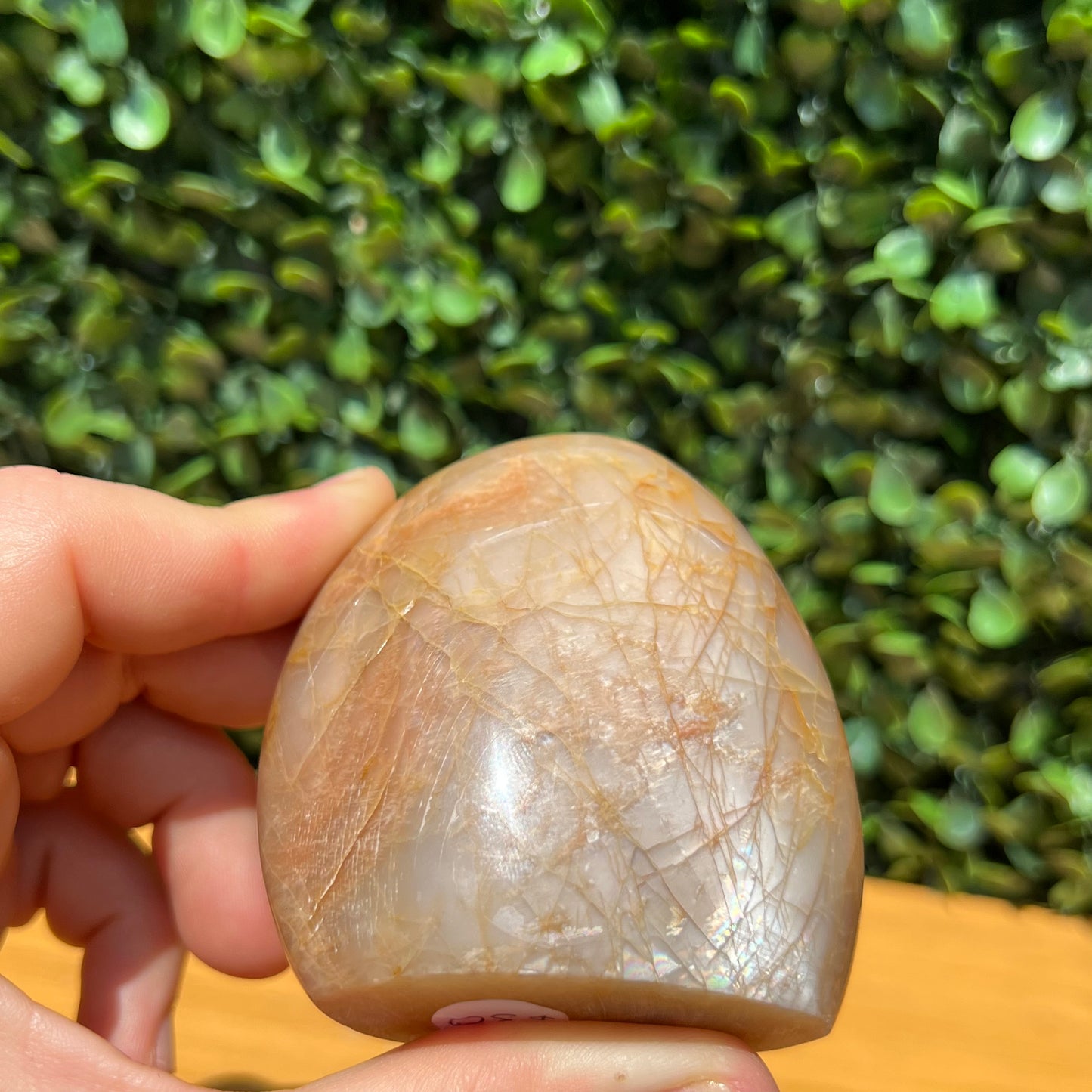 Peach Moonstone Free Form