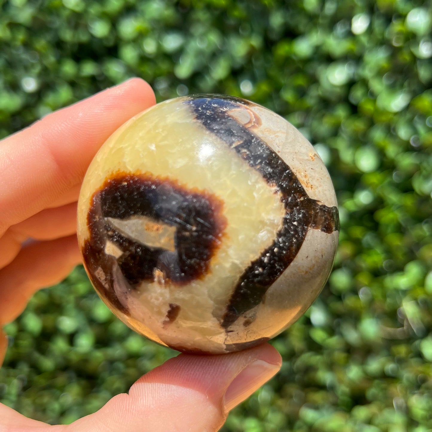 Septarian Yellow Calcite Sphere