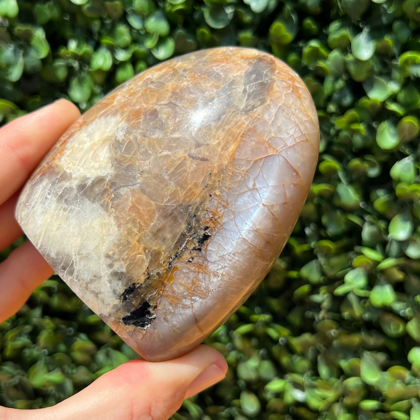 Peach Moonstone Free Form