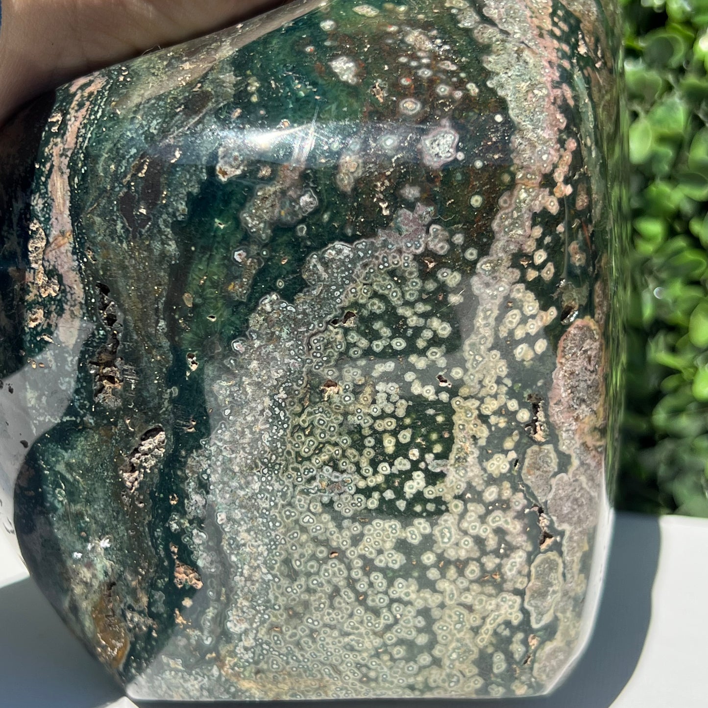 Ocean Jasper Free Form