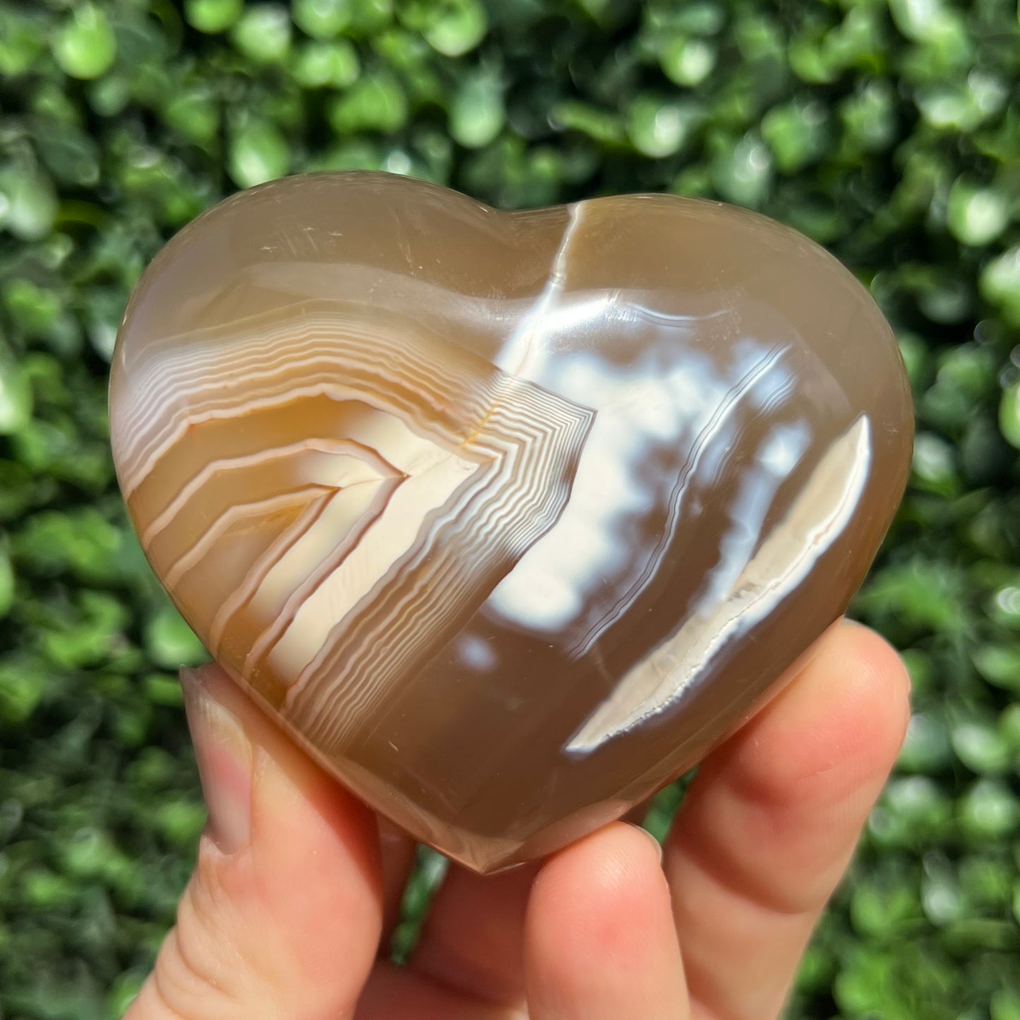 Orca Agate Heart