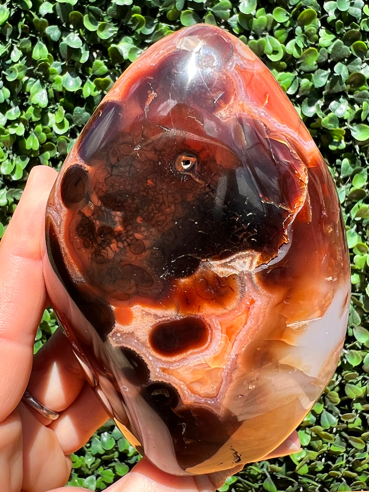 Carnelian Free Form