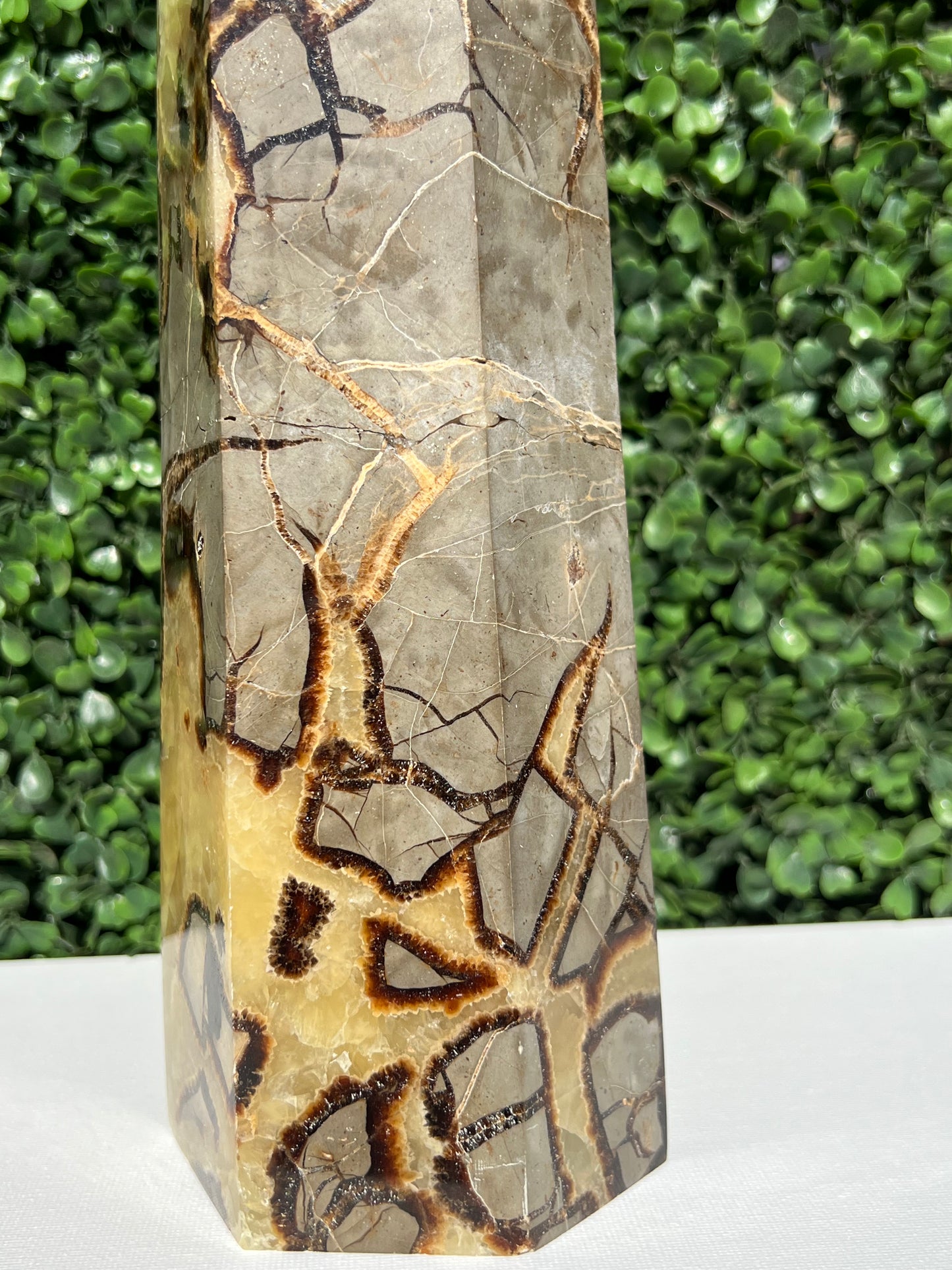 Septarian Generator XXL