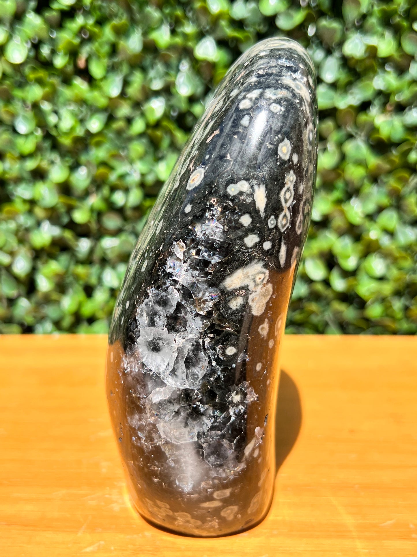 Ocean Jasper Free Form
