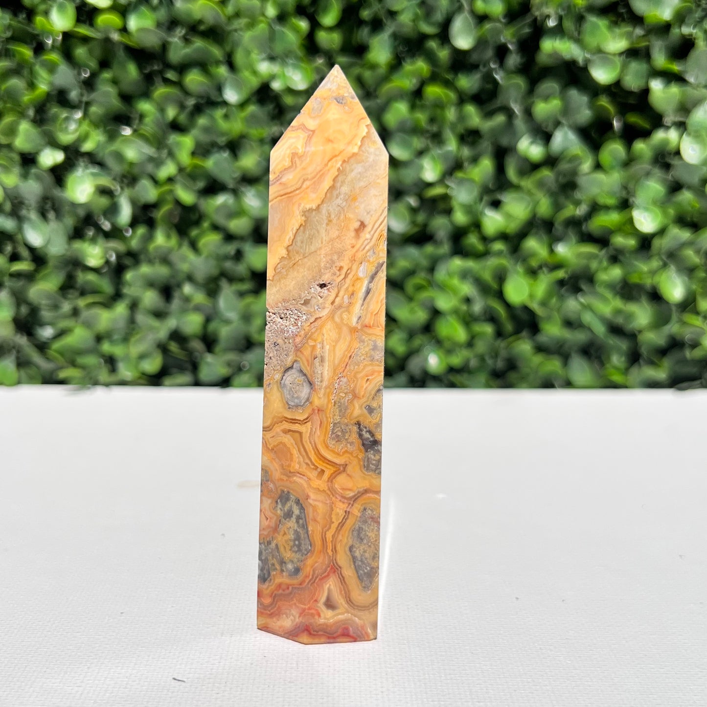 Crazy Lace Agate Point