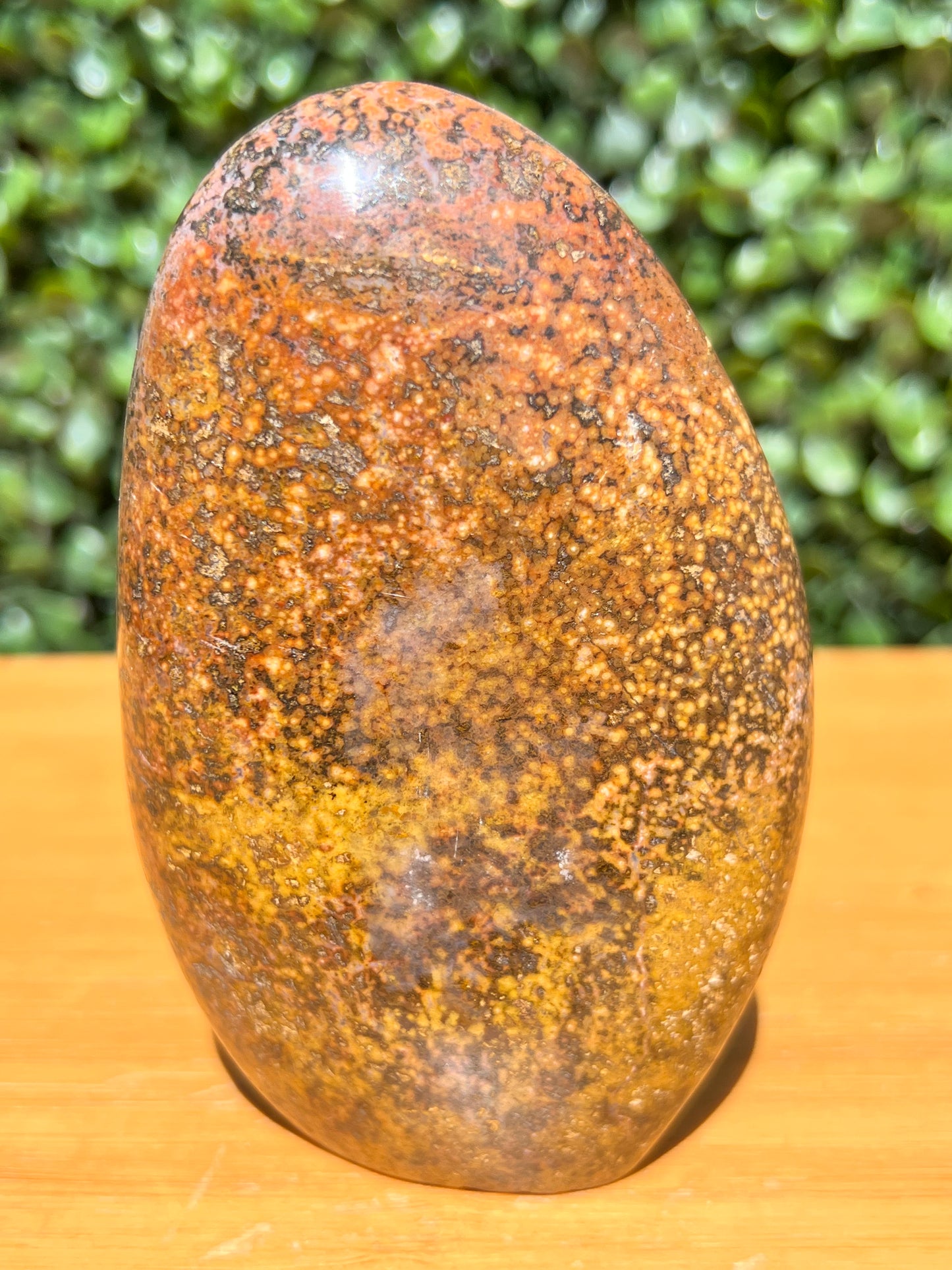 Ocean Jasper Free Form