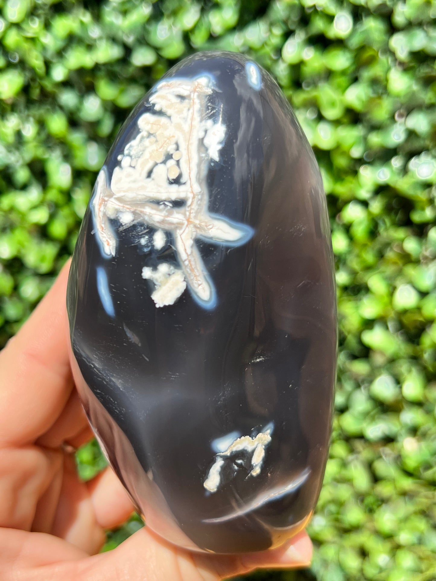 Orca Agate Free Form
