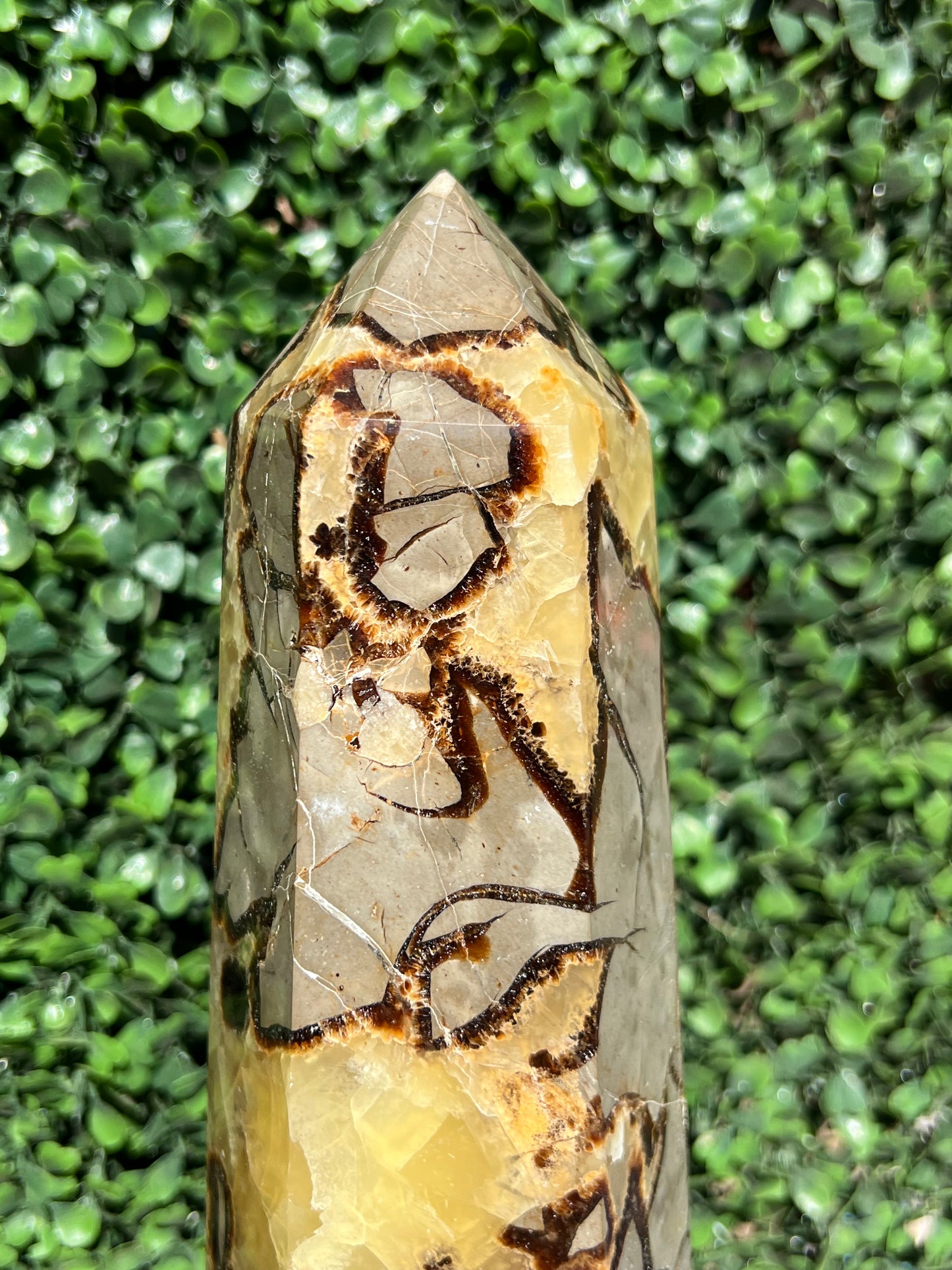 Septarian Generator XXL