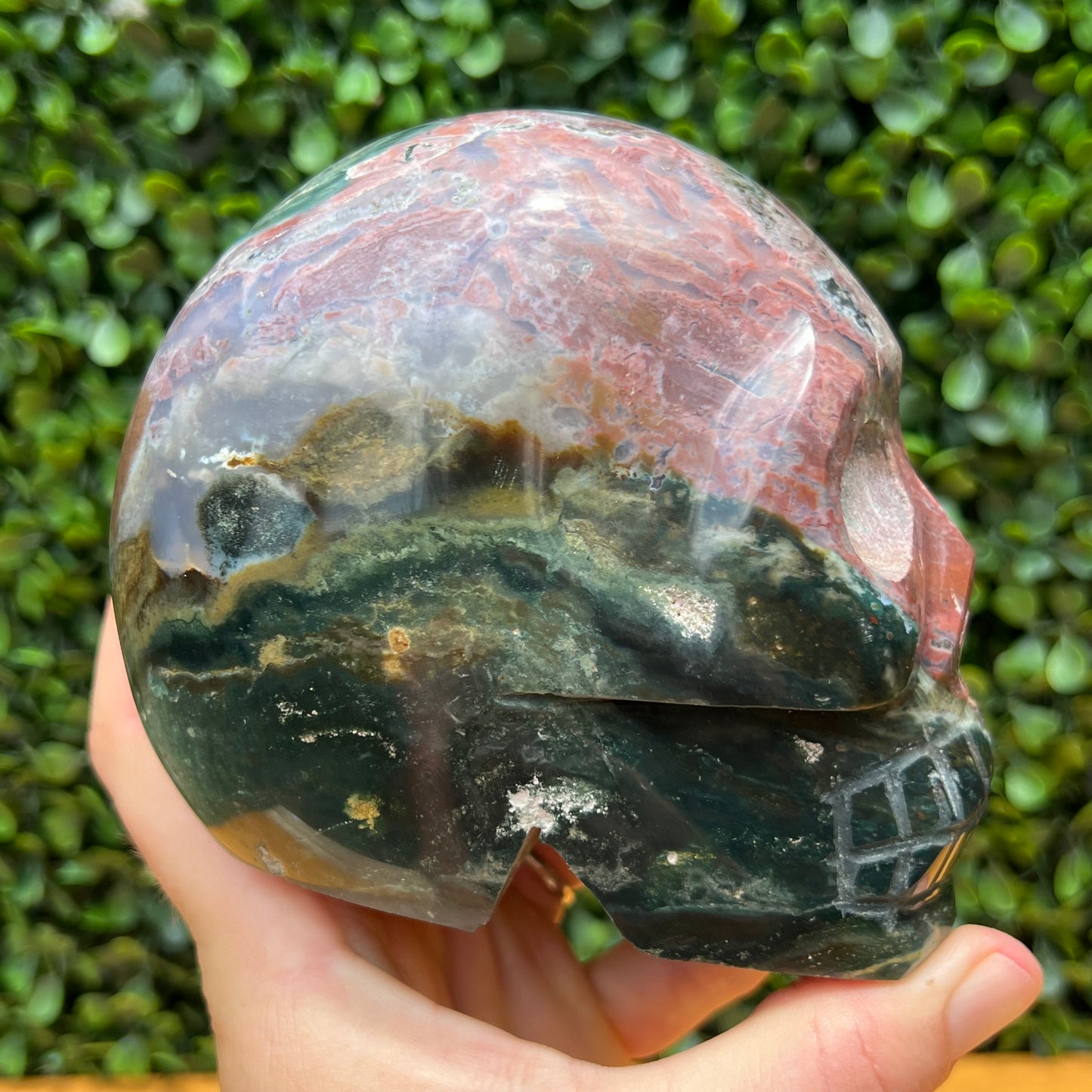 Ocean Jasper Skull