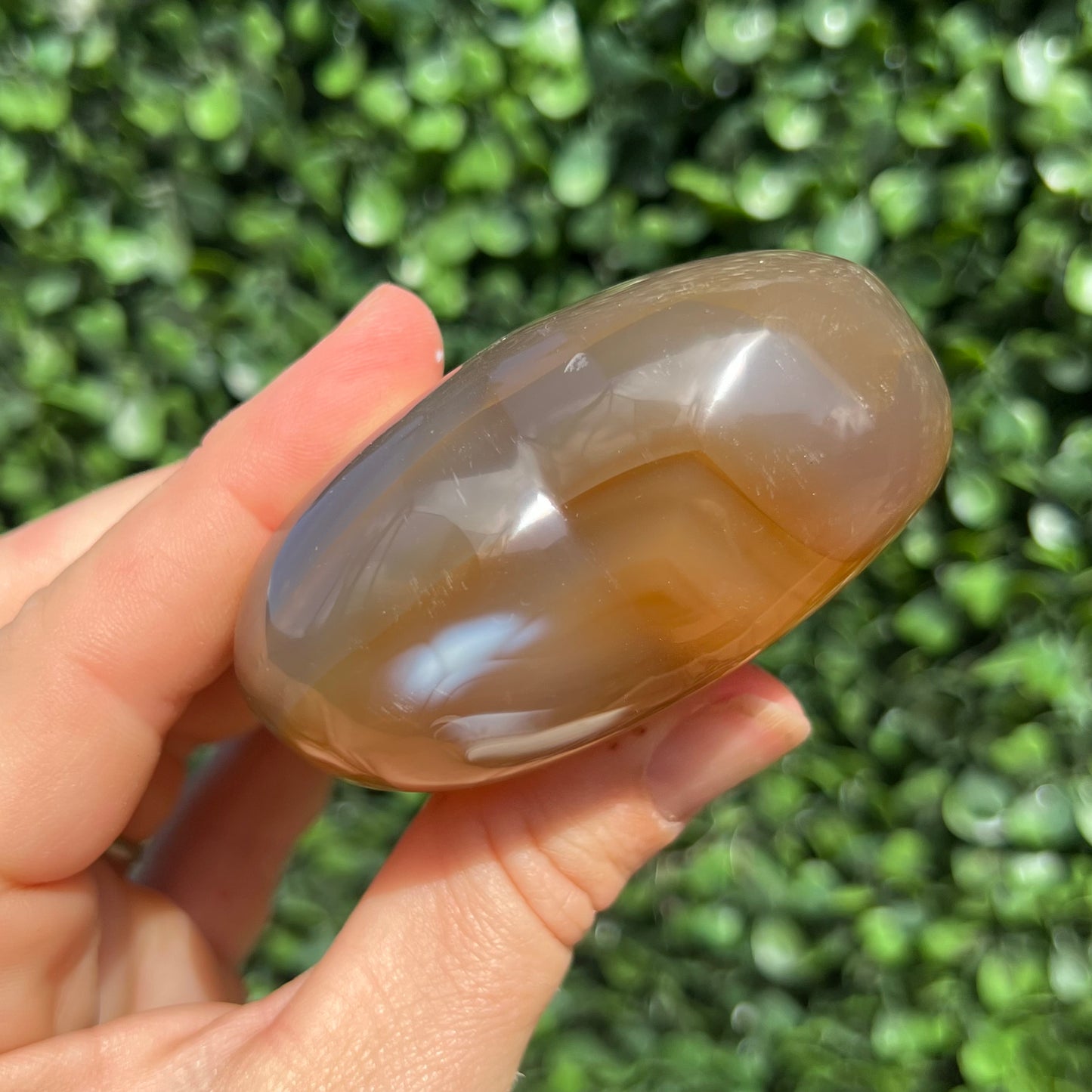 Orca Agate Heart