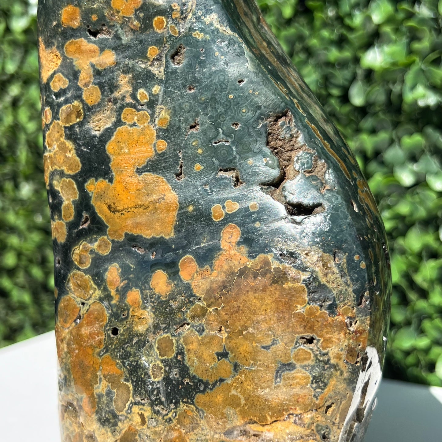 Ocean Jasper Free Form