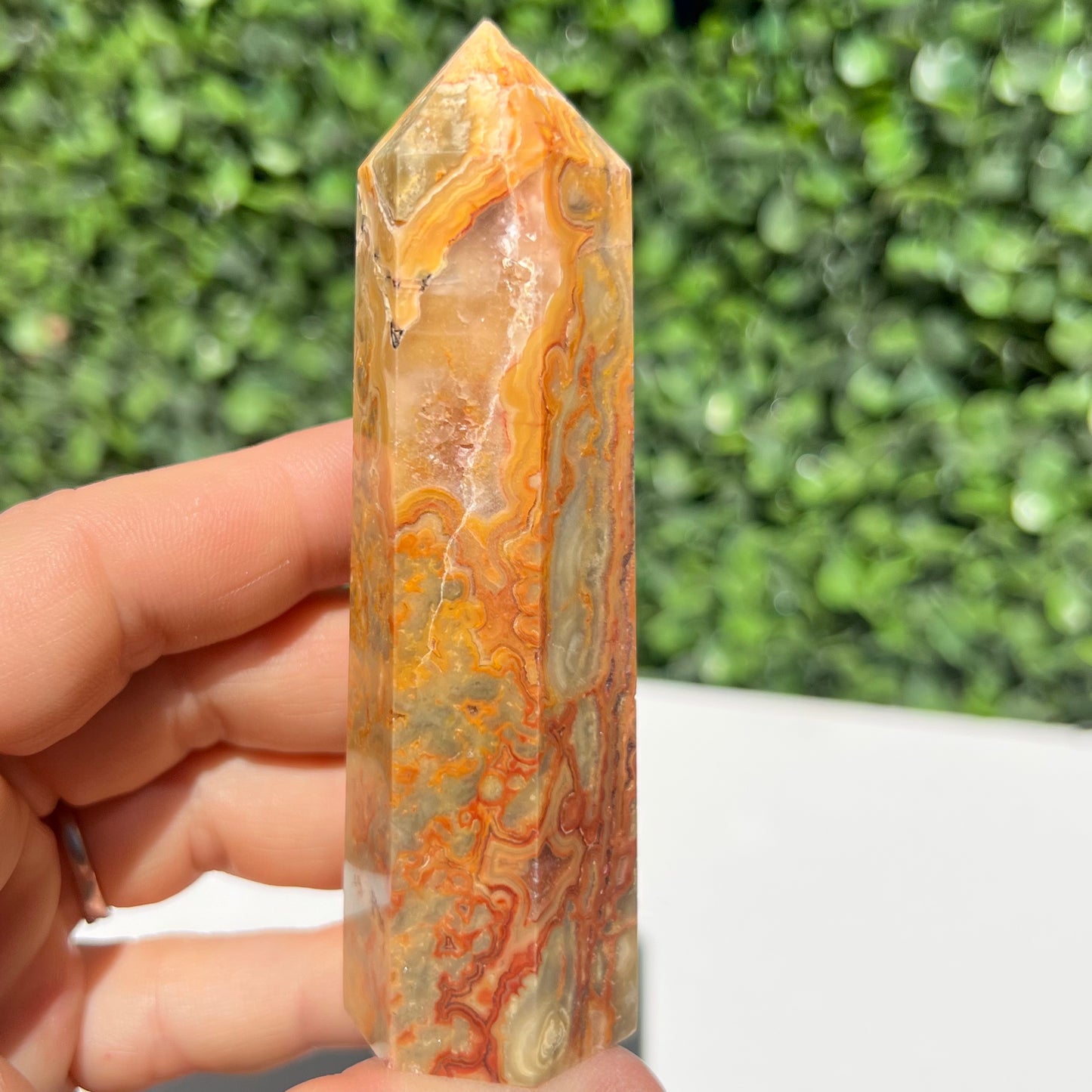 Crazy Lace Agate Point