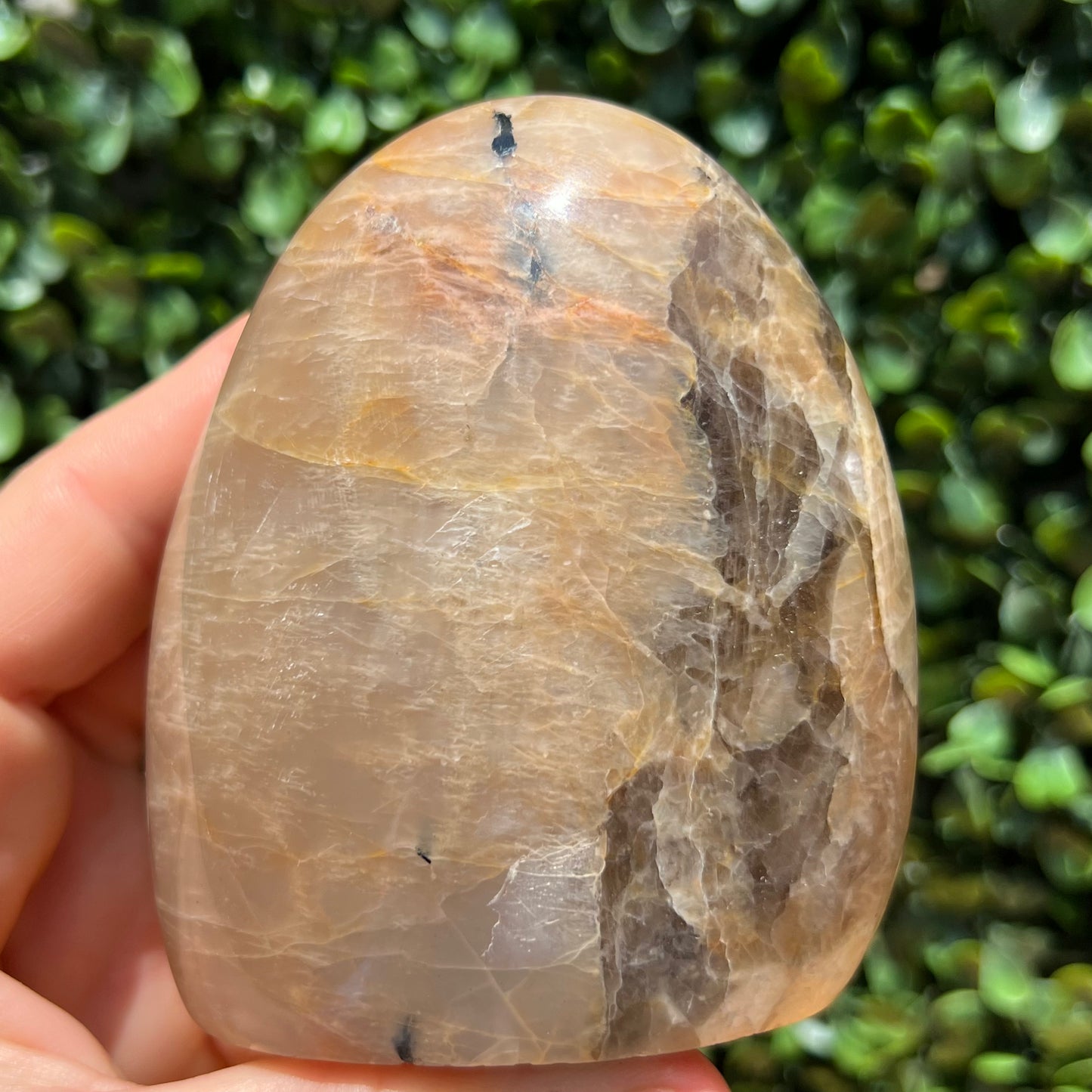 Peach Moonstone Free Form