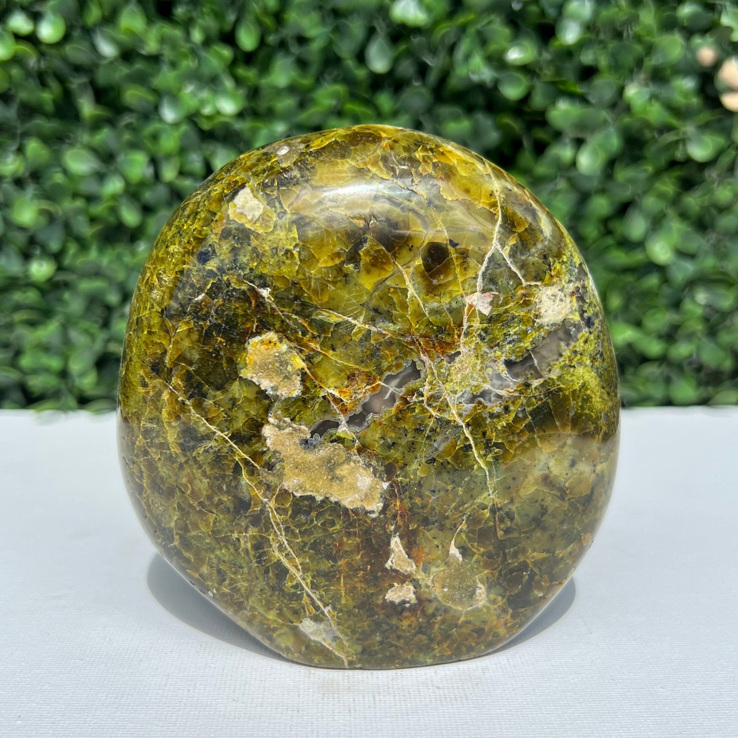 Kiwi Opal Free Form