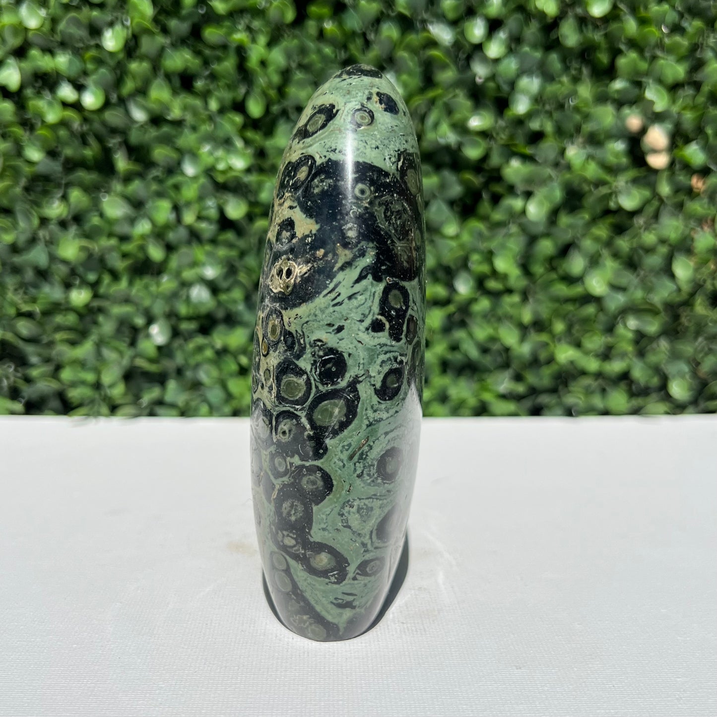 Kambaba Jasper Free Form