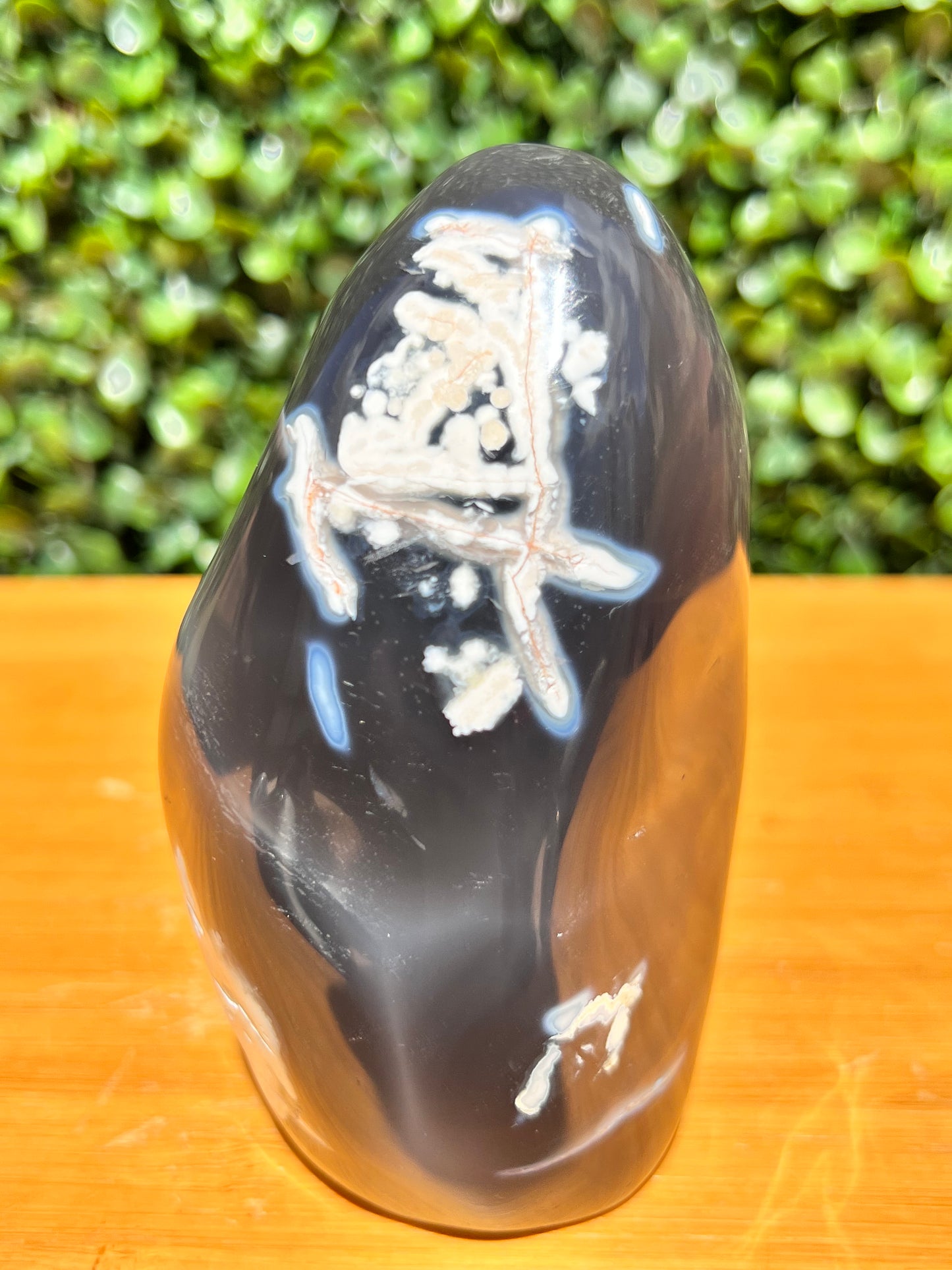 Orca Agate Free Form