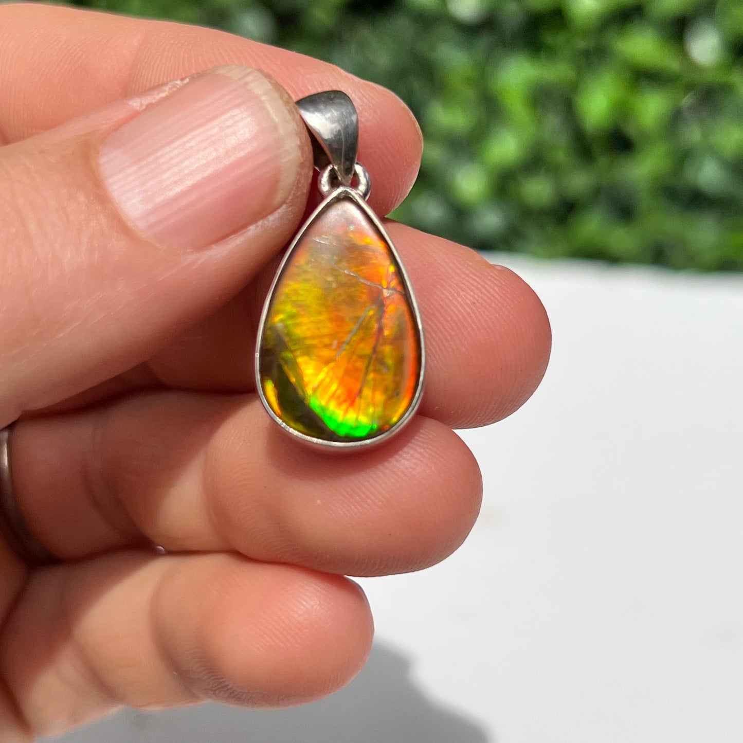 Ammonite 925 Silver Pendant