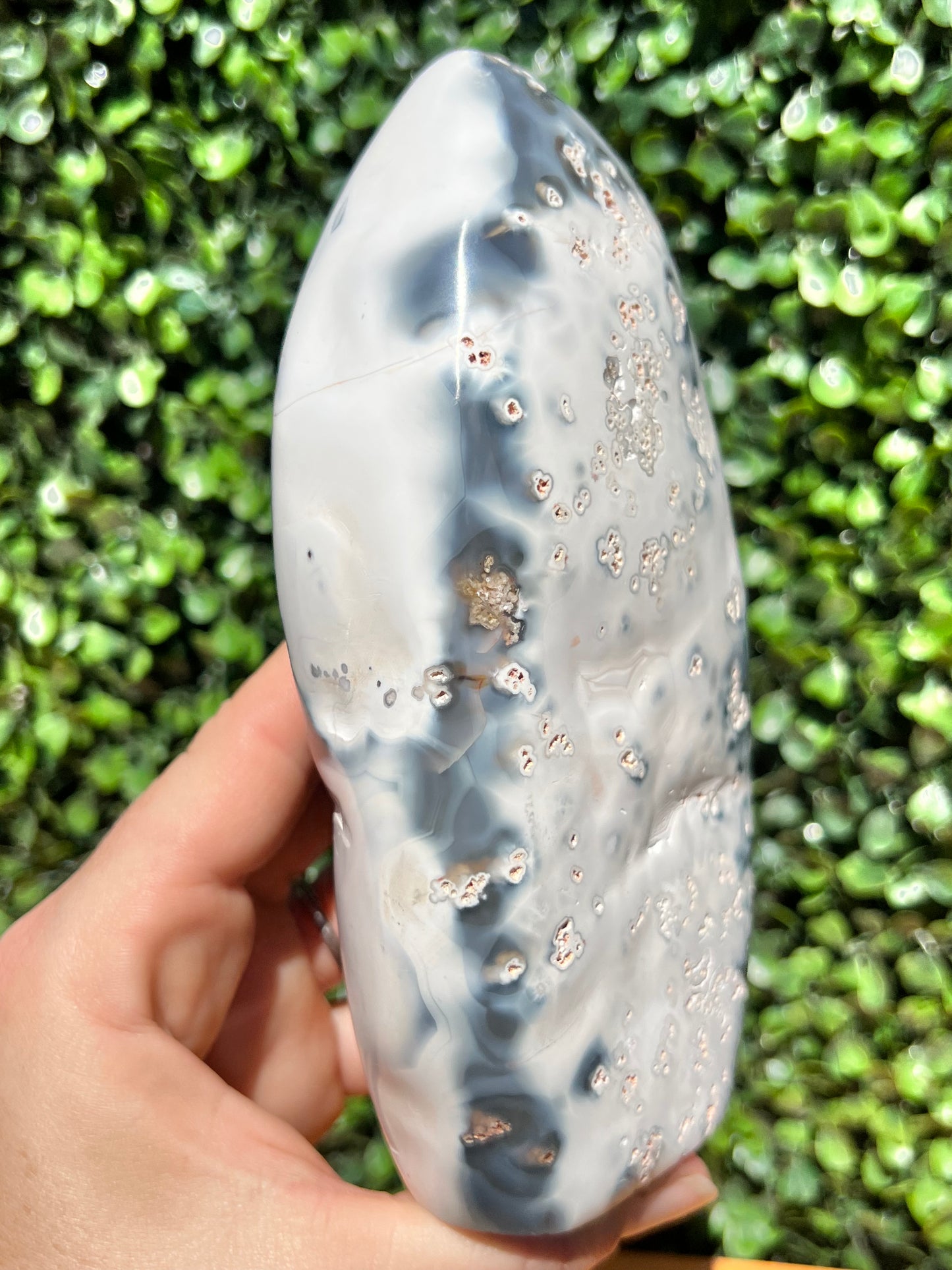Orca Agate Free Form