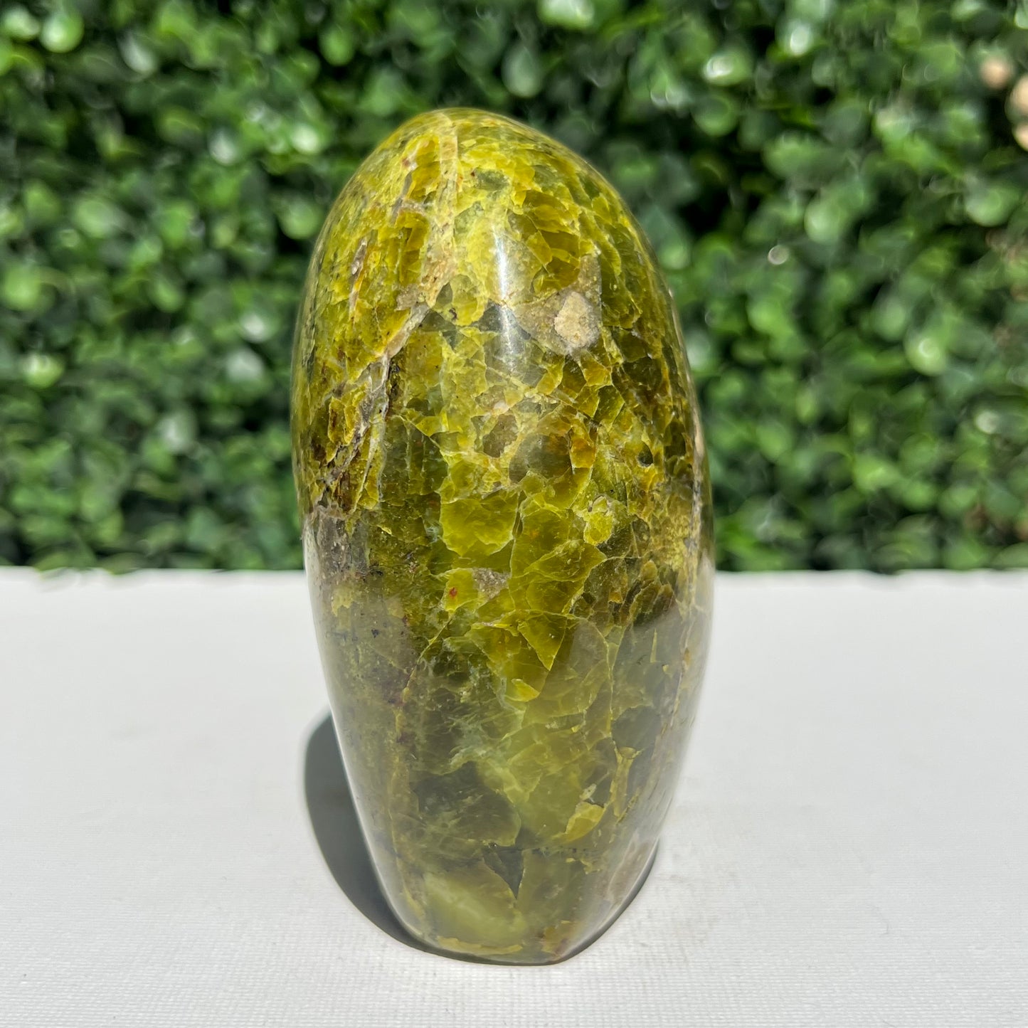 Kiwi Opal Free Form