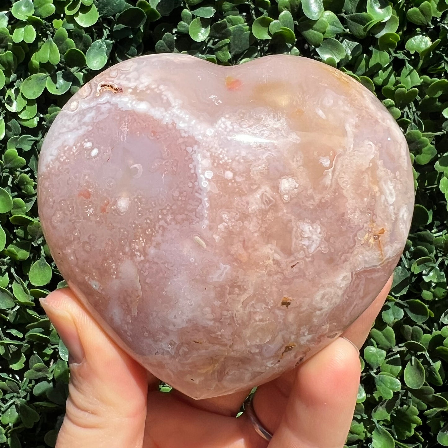 Flower Agate Heart