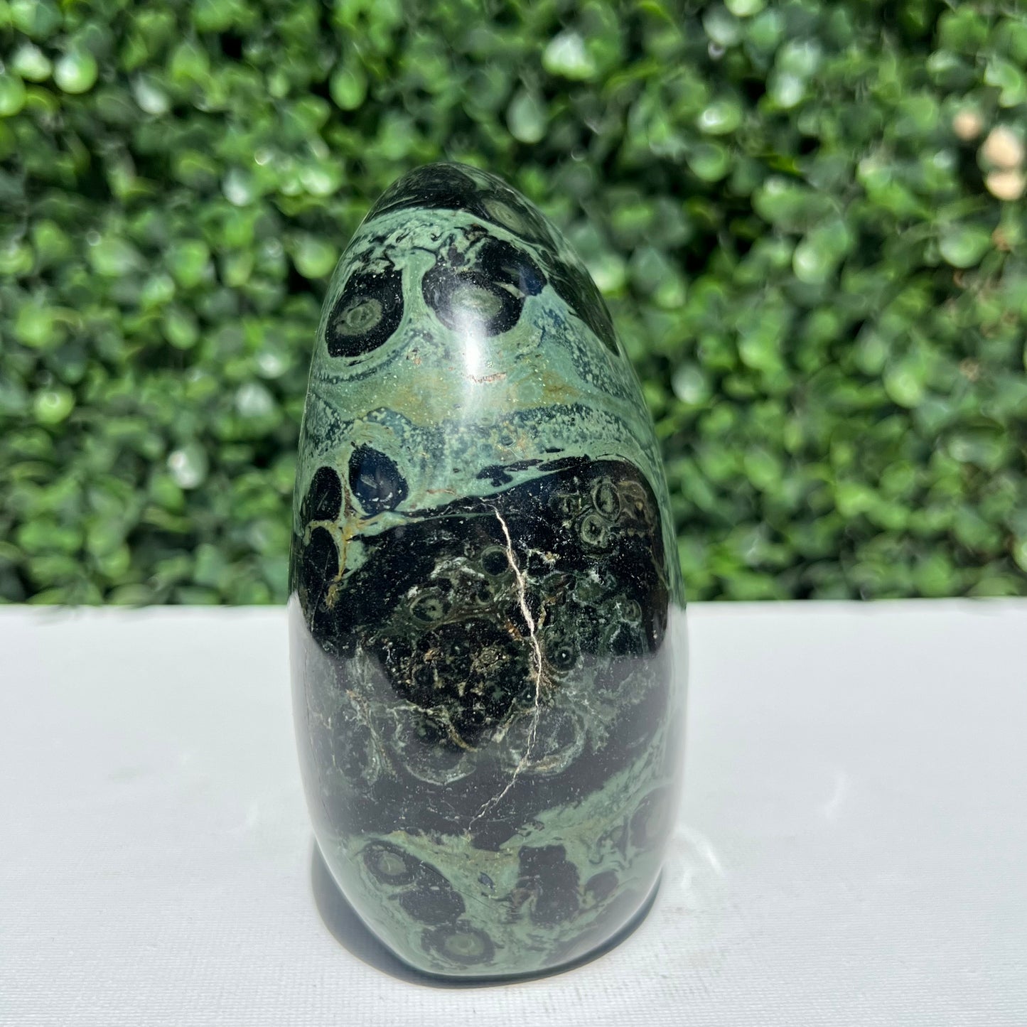 Kambaba Jasper Free Form