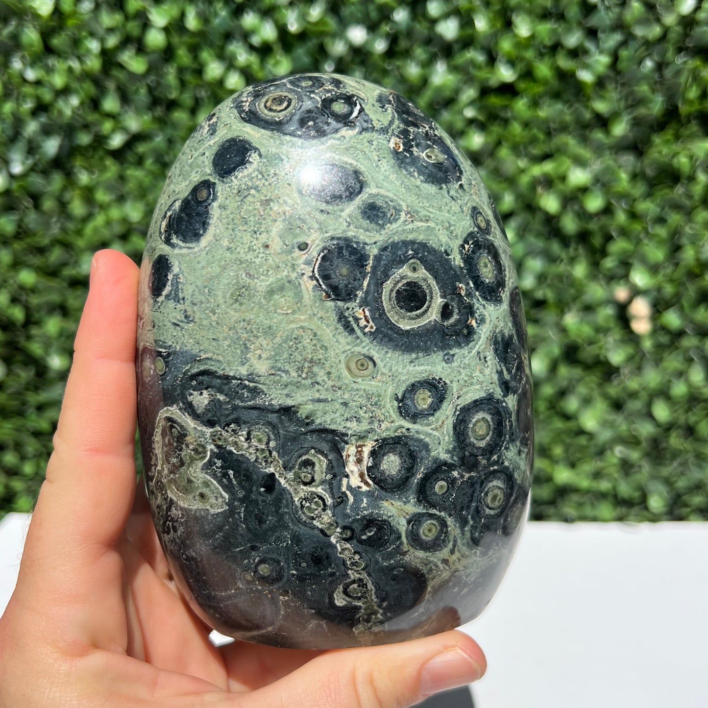 Kambaba Jasper Free Form