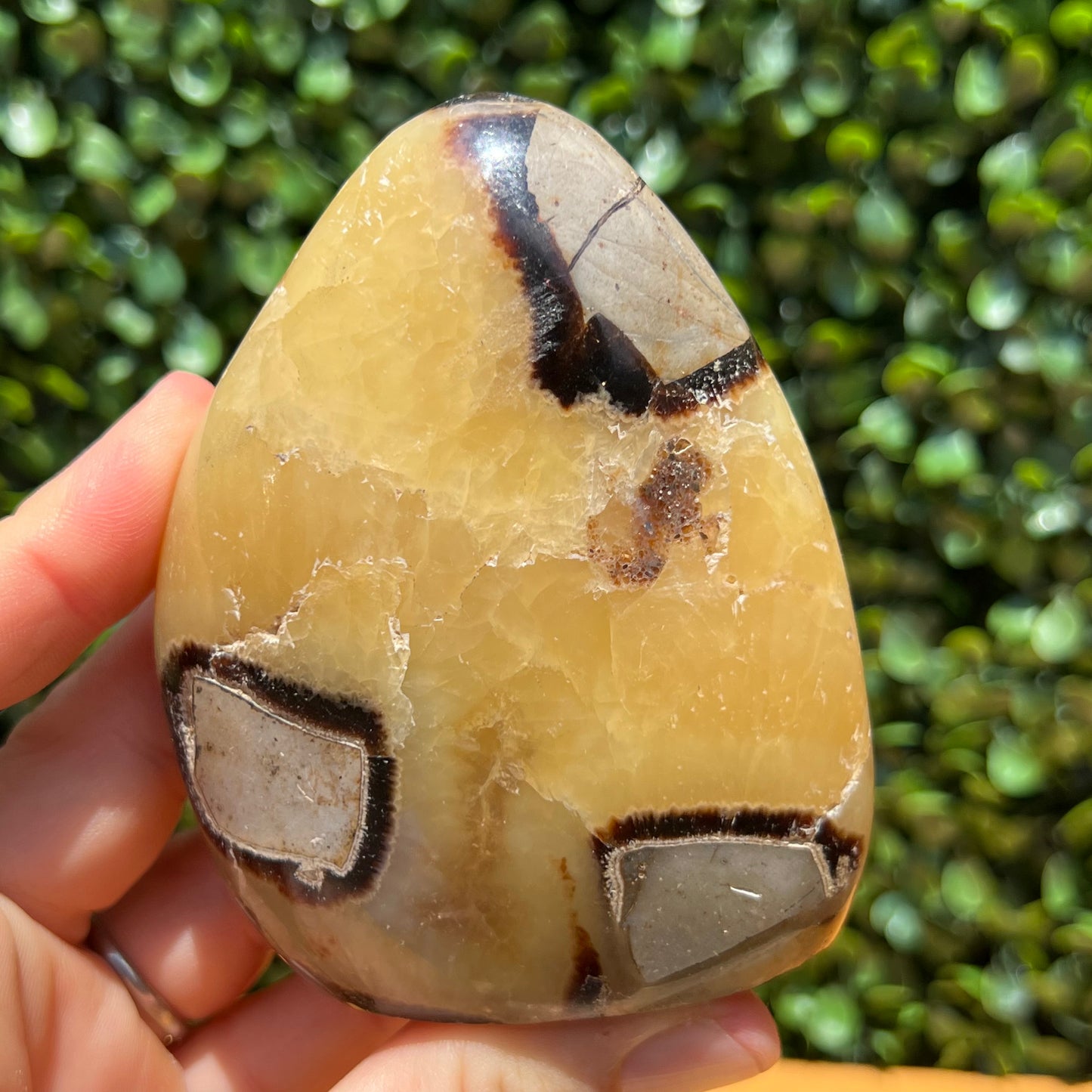 Septarian Yellow Calcite Free Form