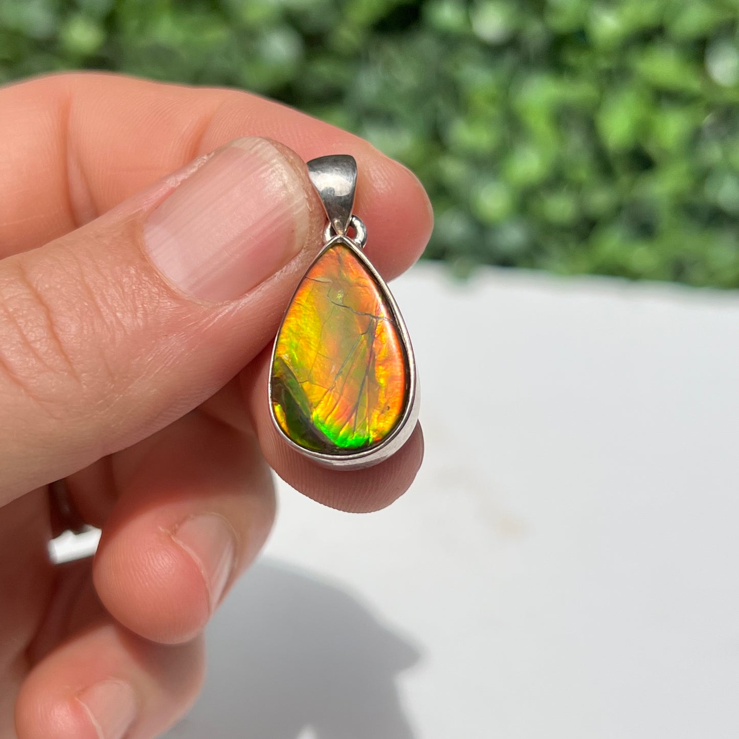 Ammonite 925 Silver Pendant