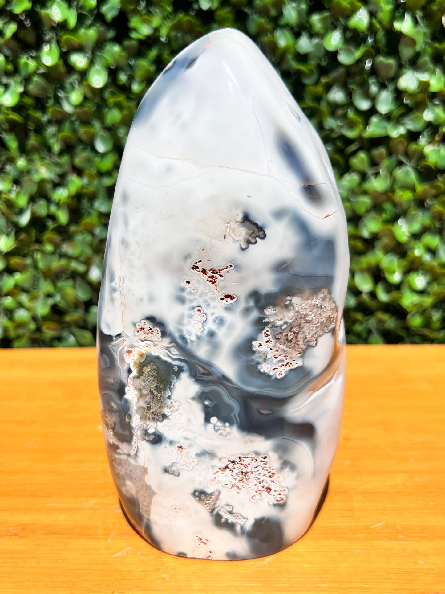 Orca Agate Free Form