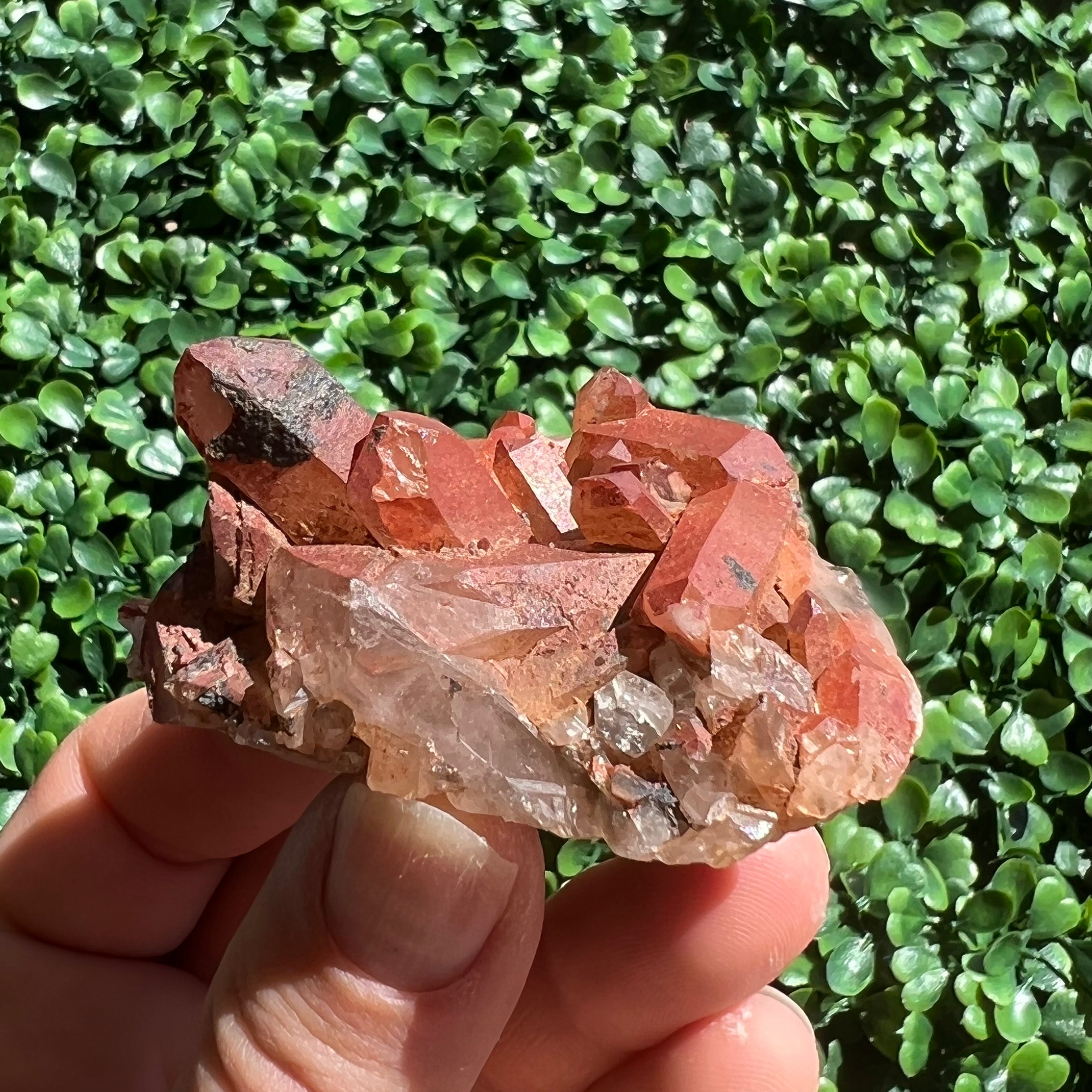 Red quartz 2025