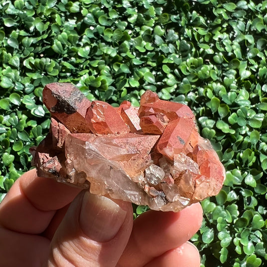 Red Quartz Cluster