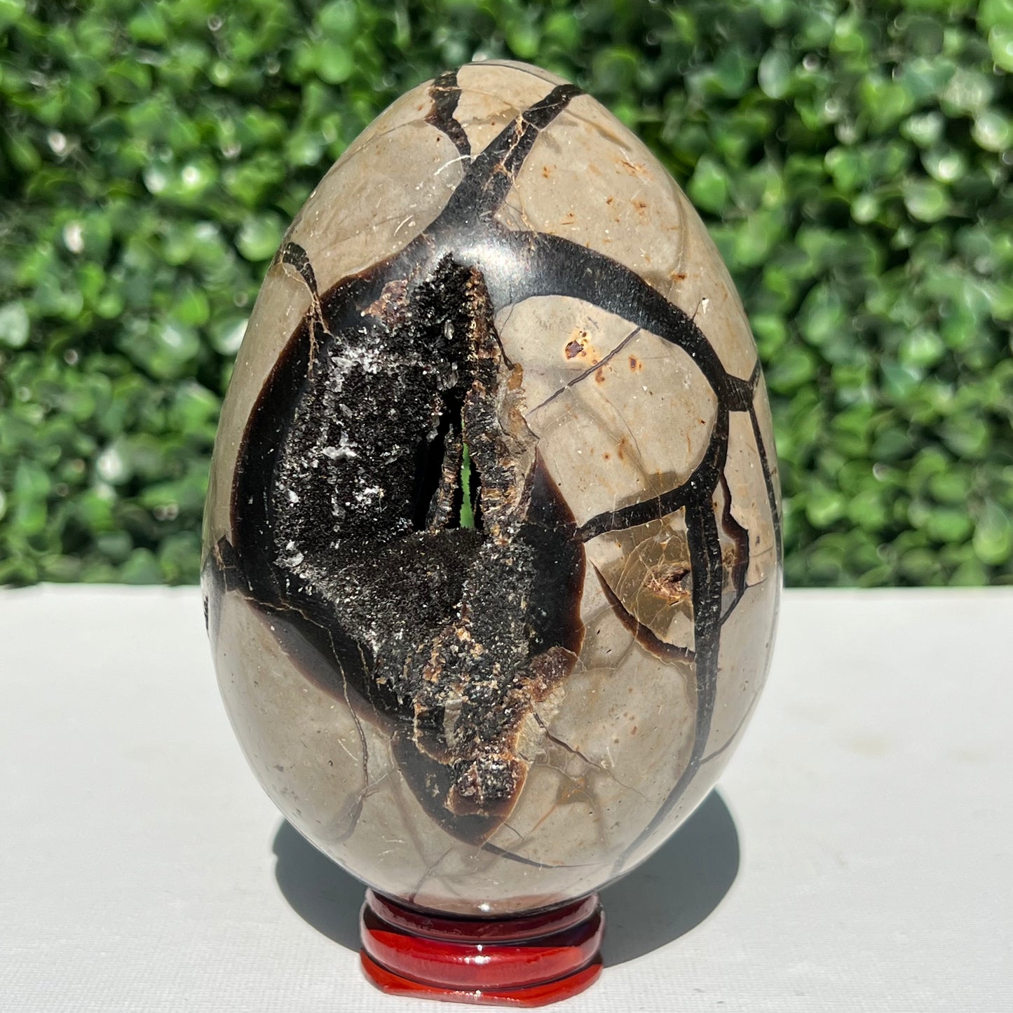 Septarian Dragon Stone Egg