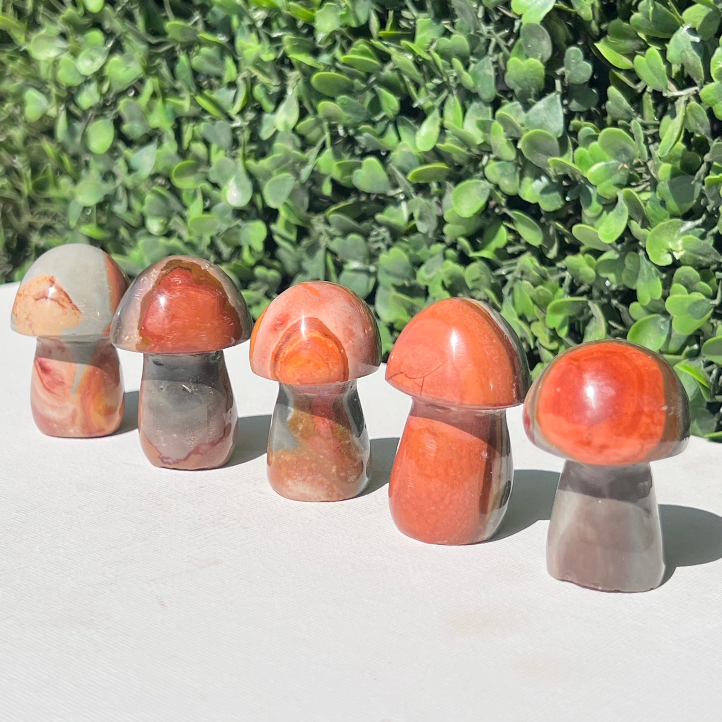 Polychrome Desert Japser Small Mushroom’s
