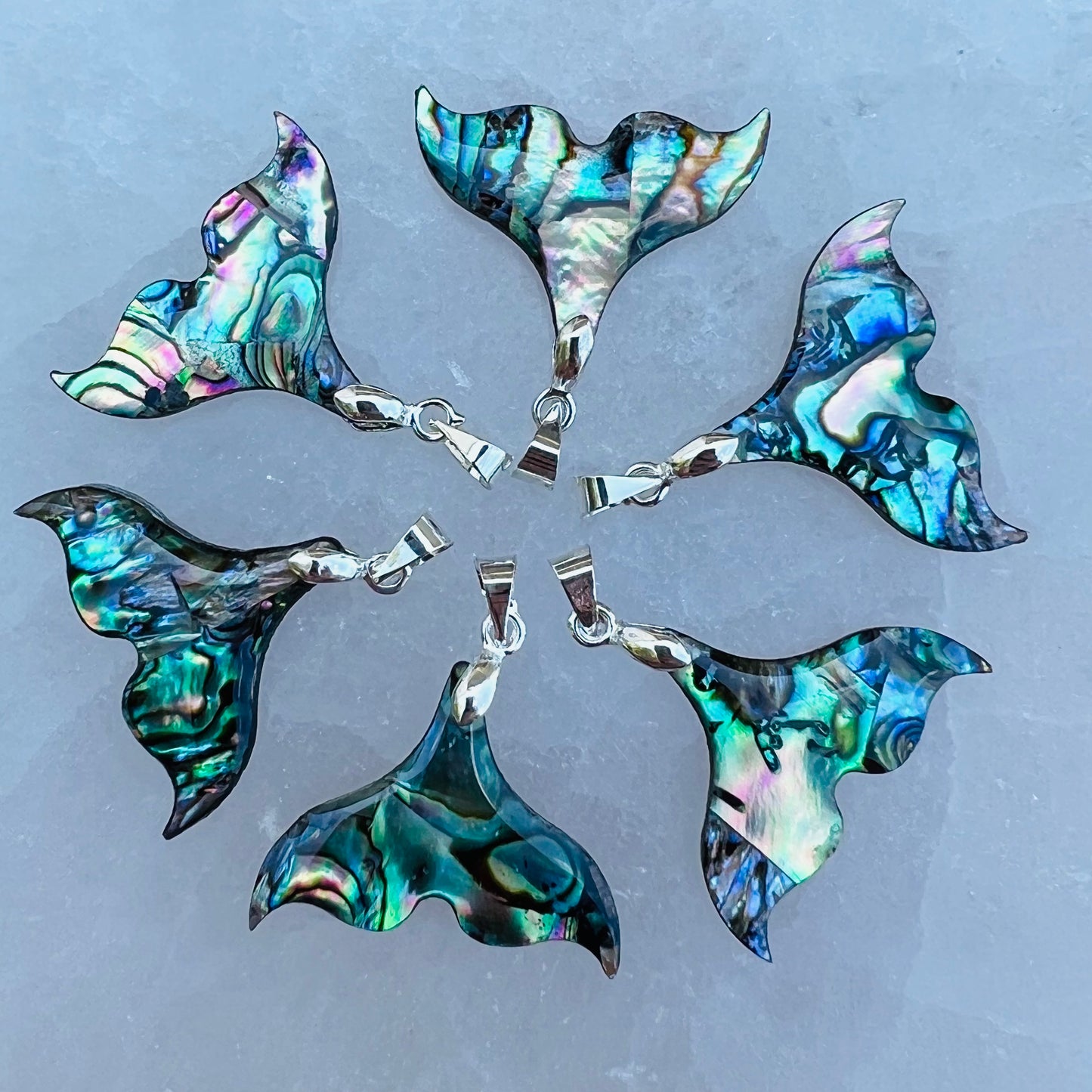 Abalone Whale Pendant’s